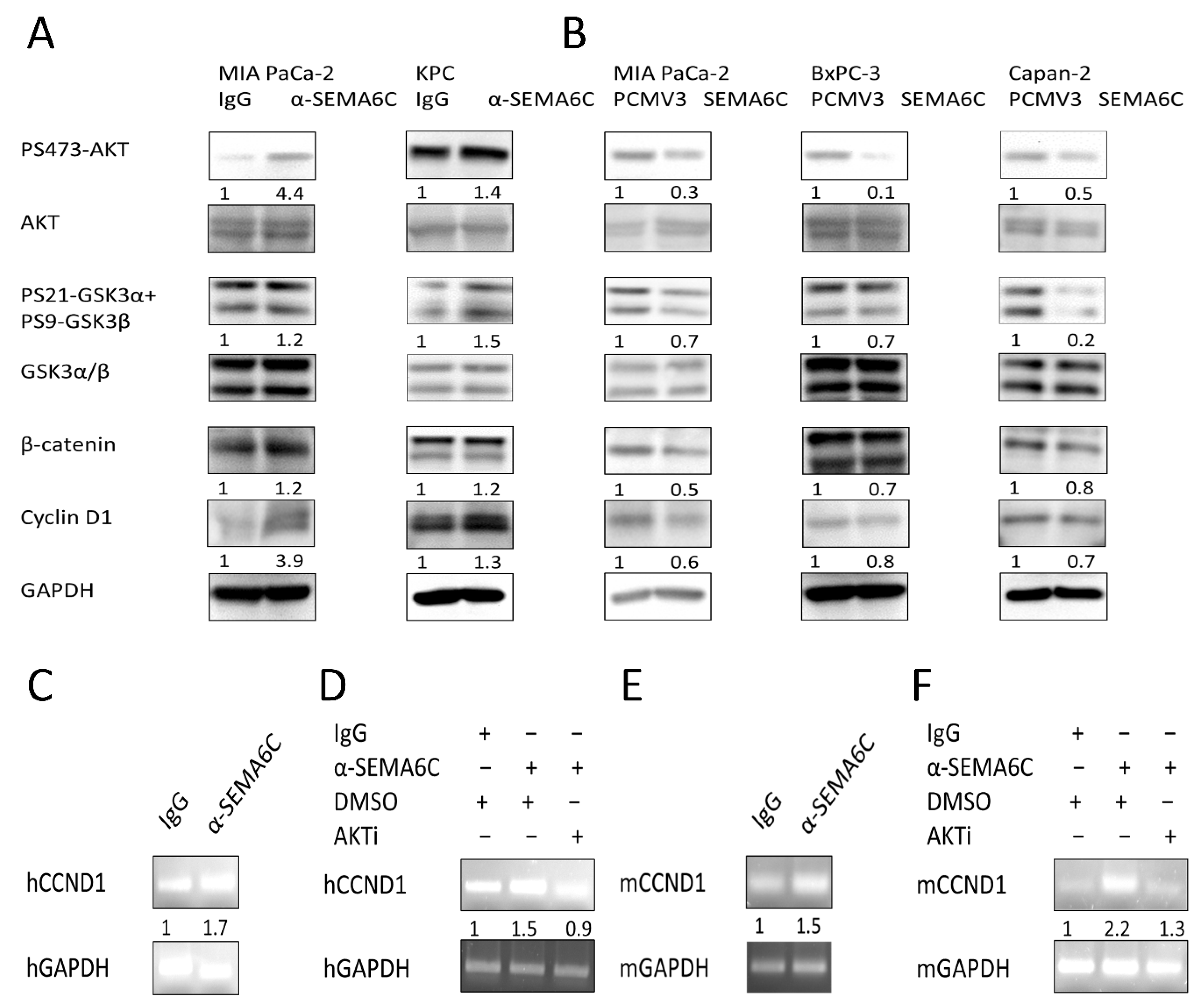 Ijms 23 02608 g004 550