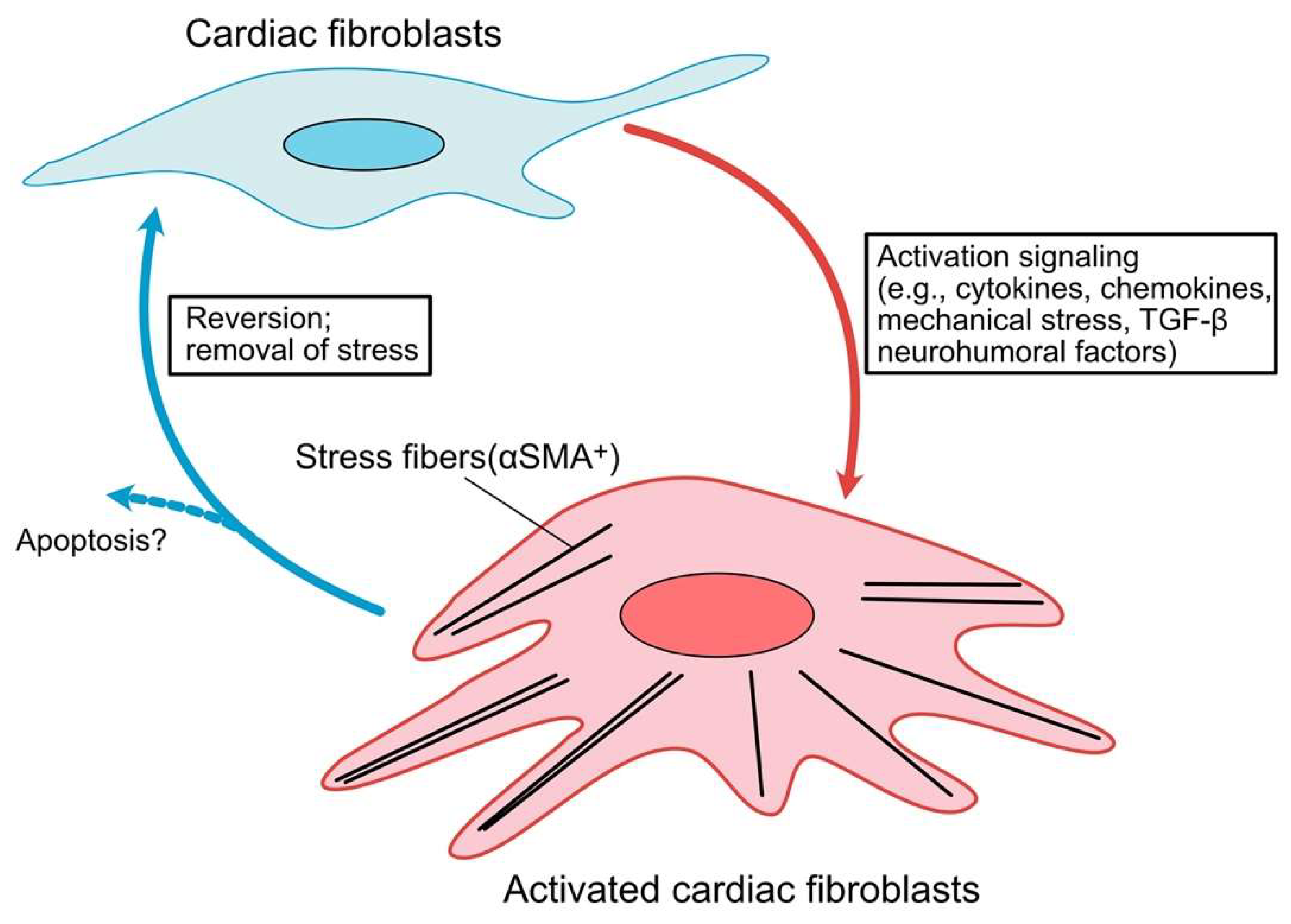 Ijms 23 02617 g002 Ijms 23 02617 g002