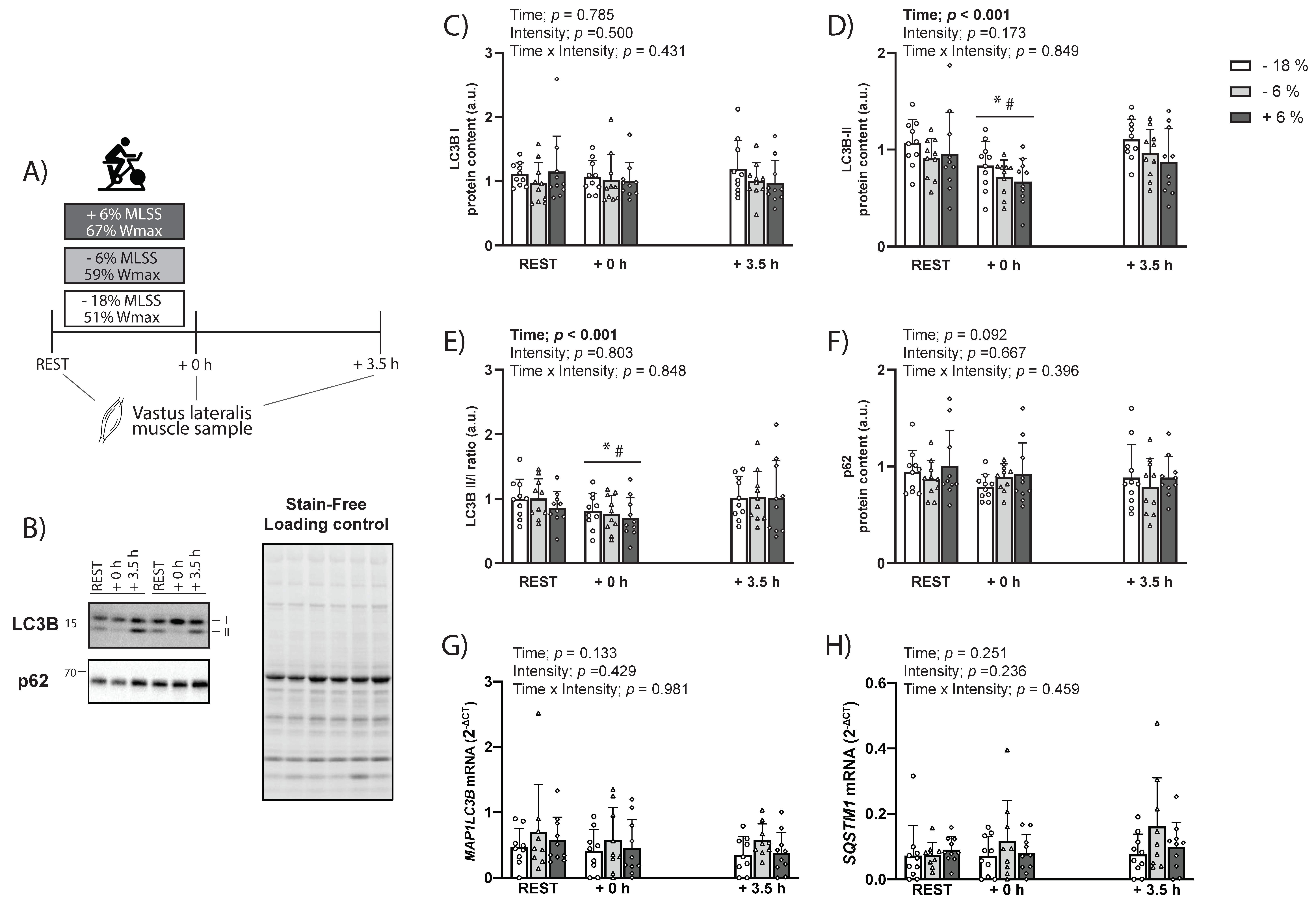 Ijms 23 02619 g002 550
