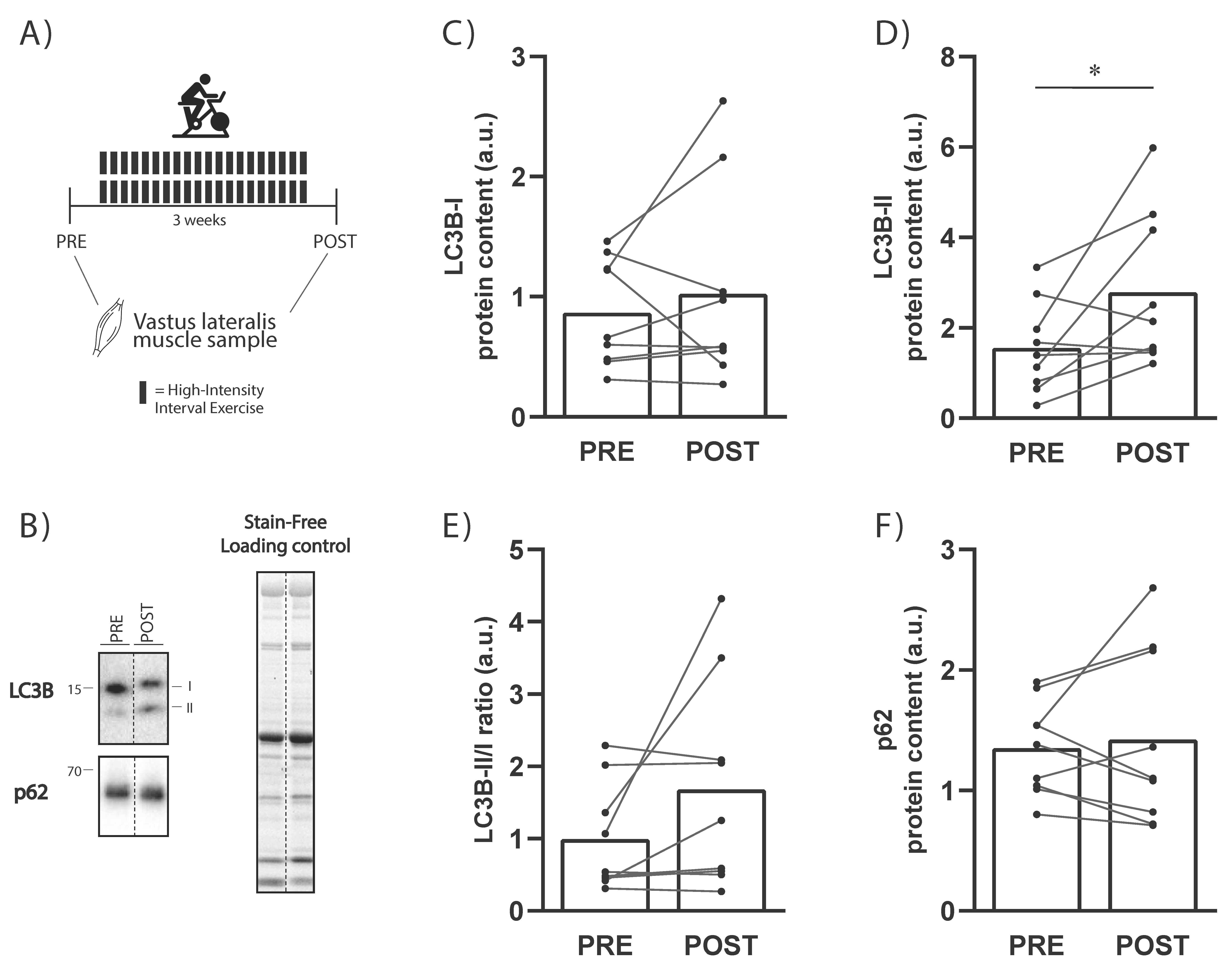 Ijms 23 02619 g003 550