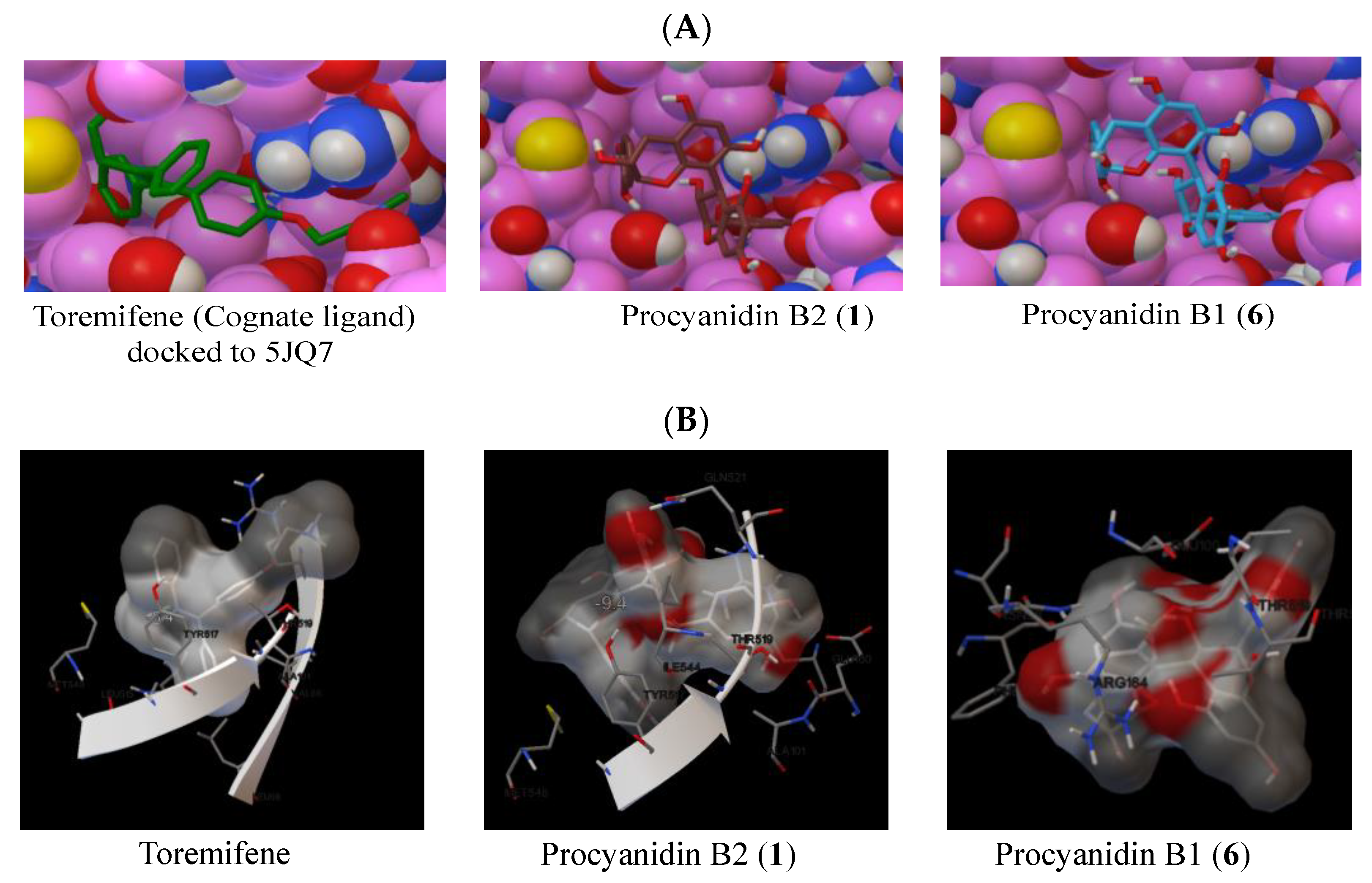 Ijms 23 02620 g006 550