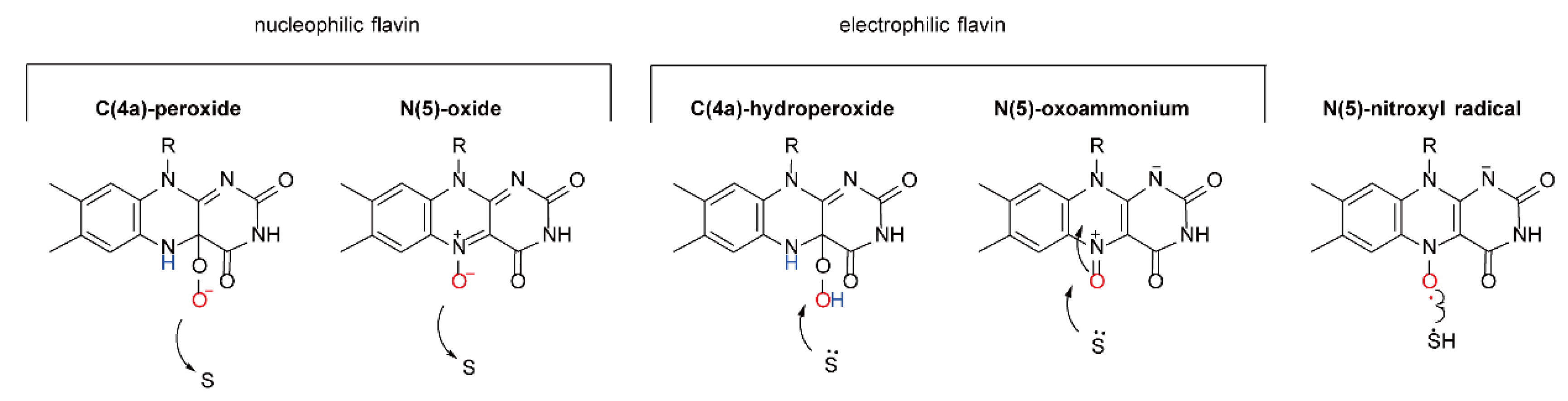 Ijms 23 02622 sch003 Ijms 23 02622 sch003