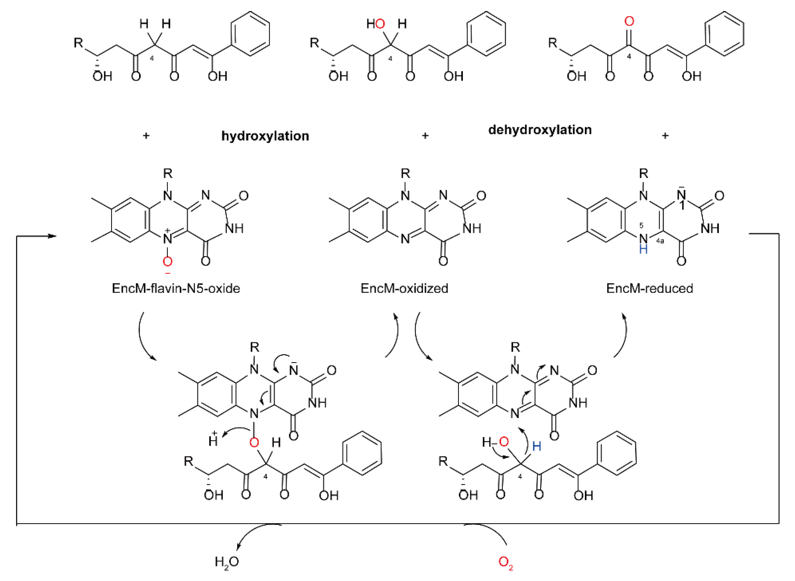 Ijms 23 02622 sch004 Ijms 23 02622 sch004