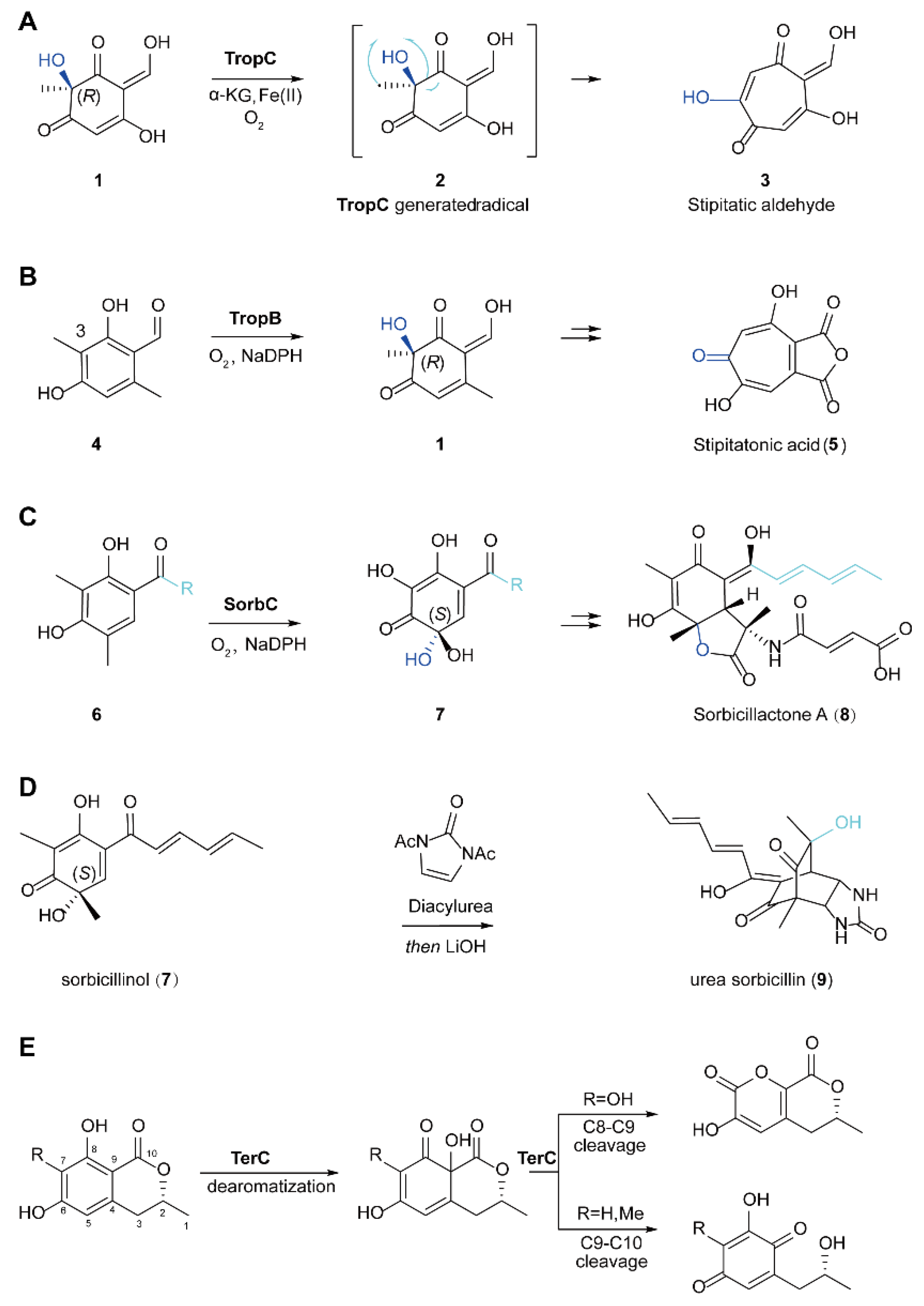Ijms 23 02622 sch005 Ijms 23 02622 sch005