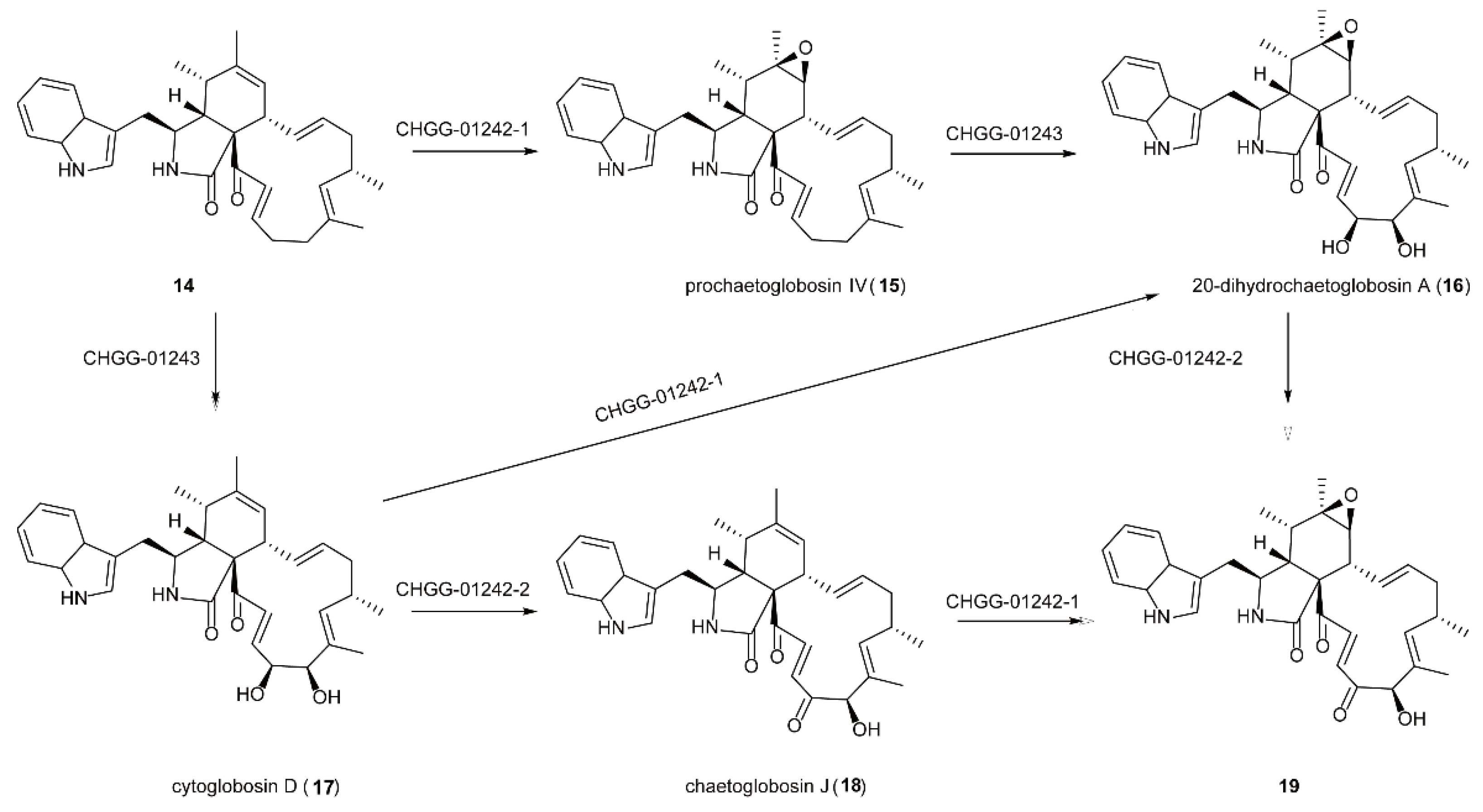 Ijms 23 02622 sch007 Ijms 23 02622 sch007