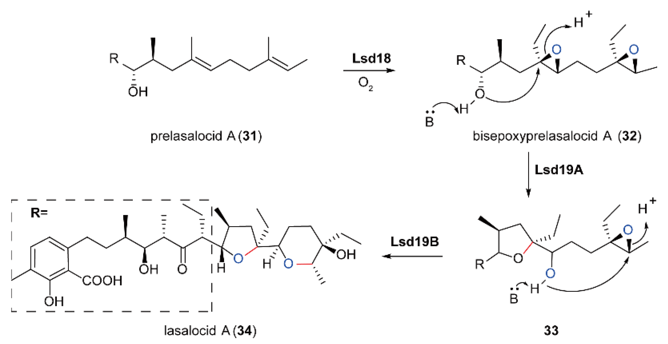 Ijms 23 02622 sch010 Ijms 23 02622 sch010
