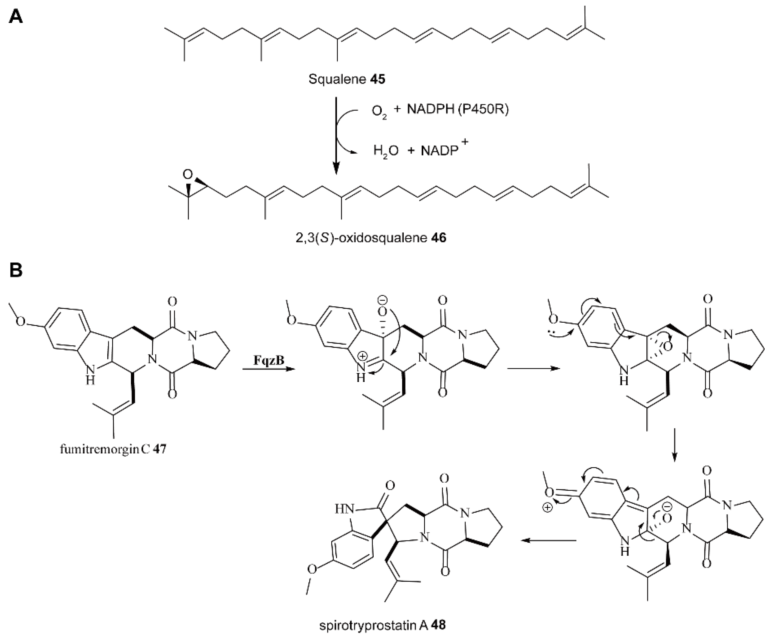 Ijms 23 02622 sch013 Ijms 23 02622 sch013