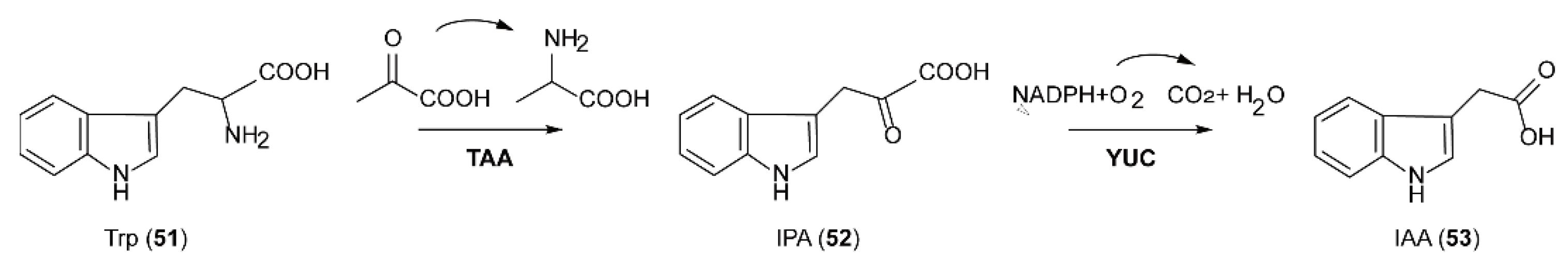 Ijms 23 02622 sch015 Ijms 23 02622 sch015