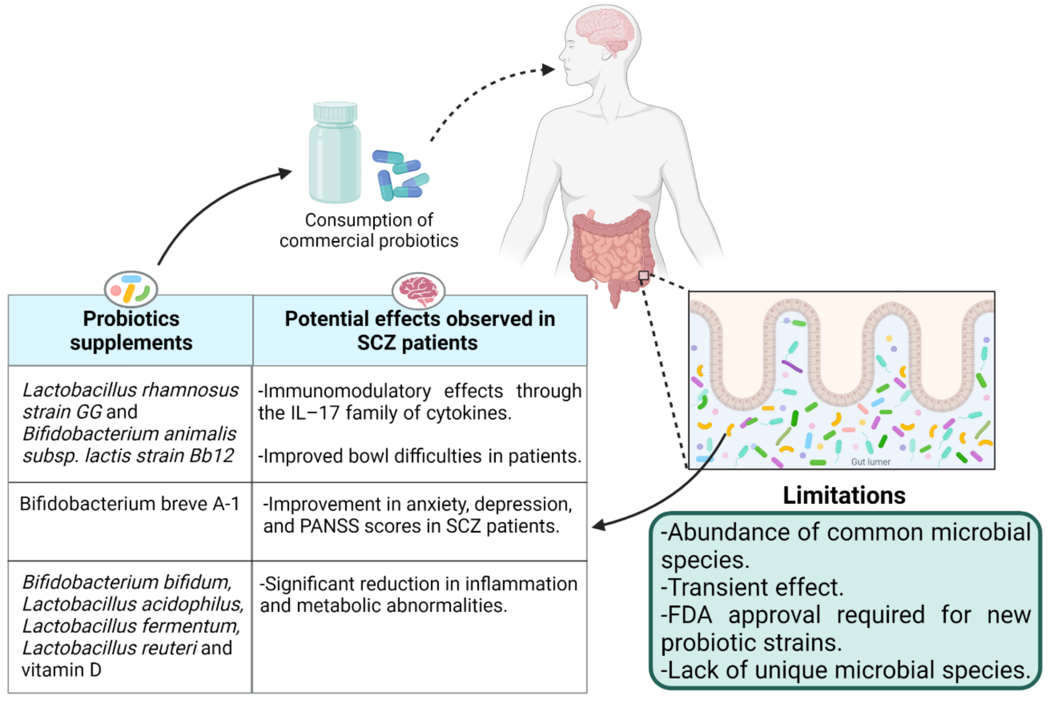 Ijms 23 02625 g003 Ijms 23 02625 g003