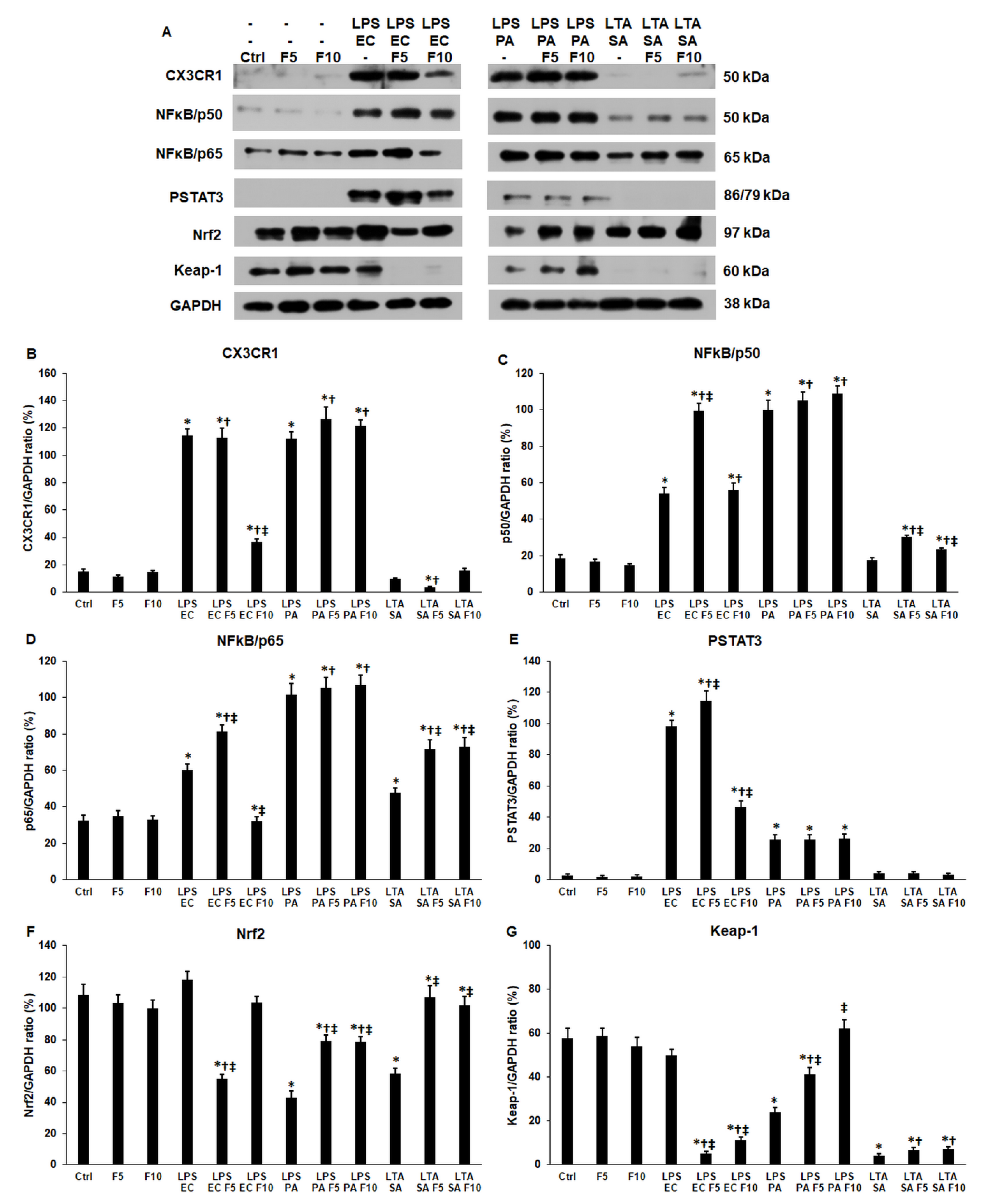 Ijms 23 02629 g003 Ijms 23 02629 g003