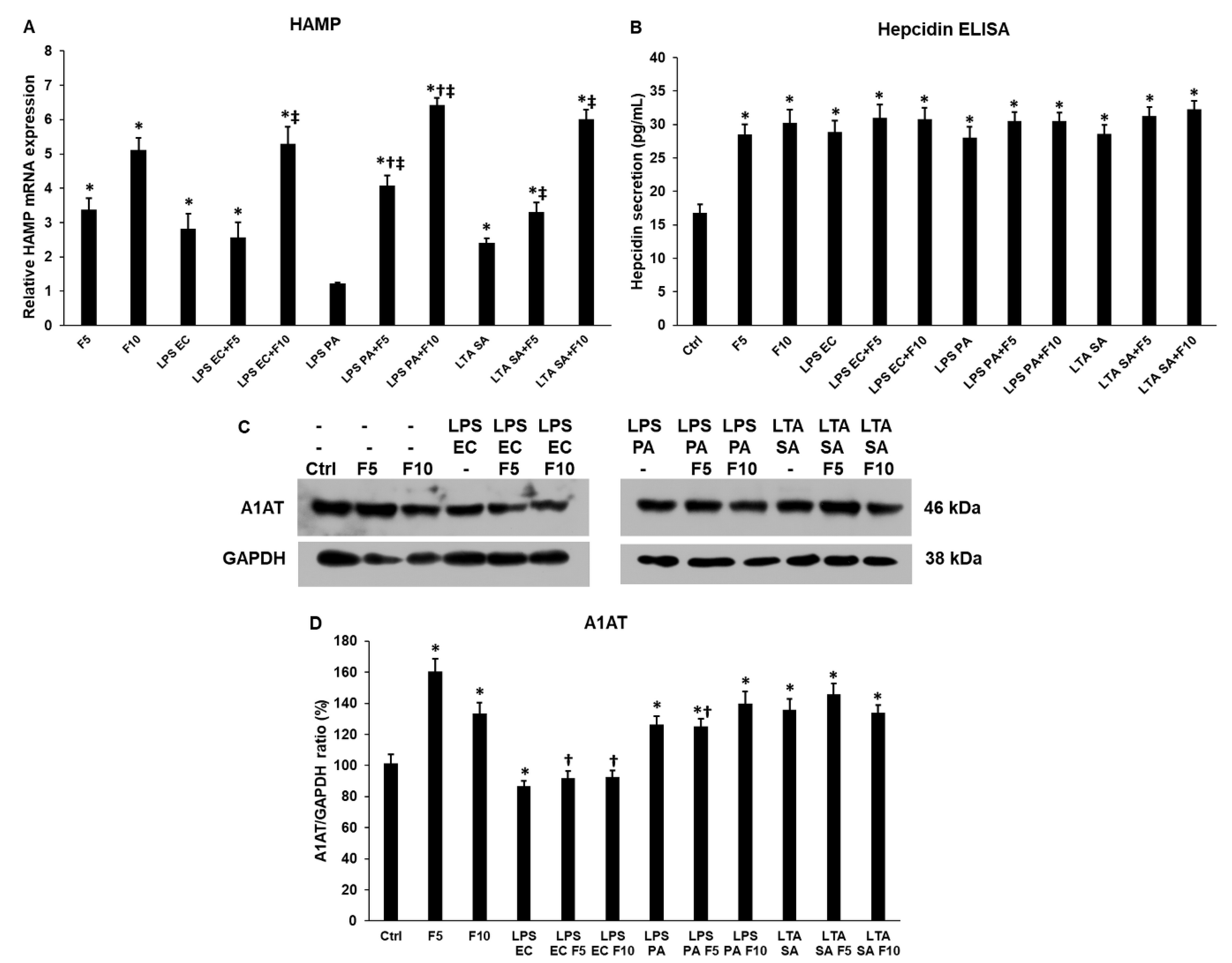 Ijms 23 02629 g004 Ijms 23 02629 g004