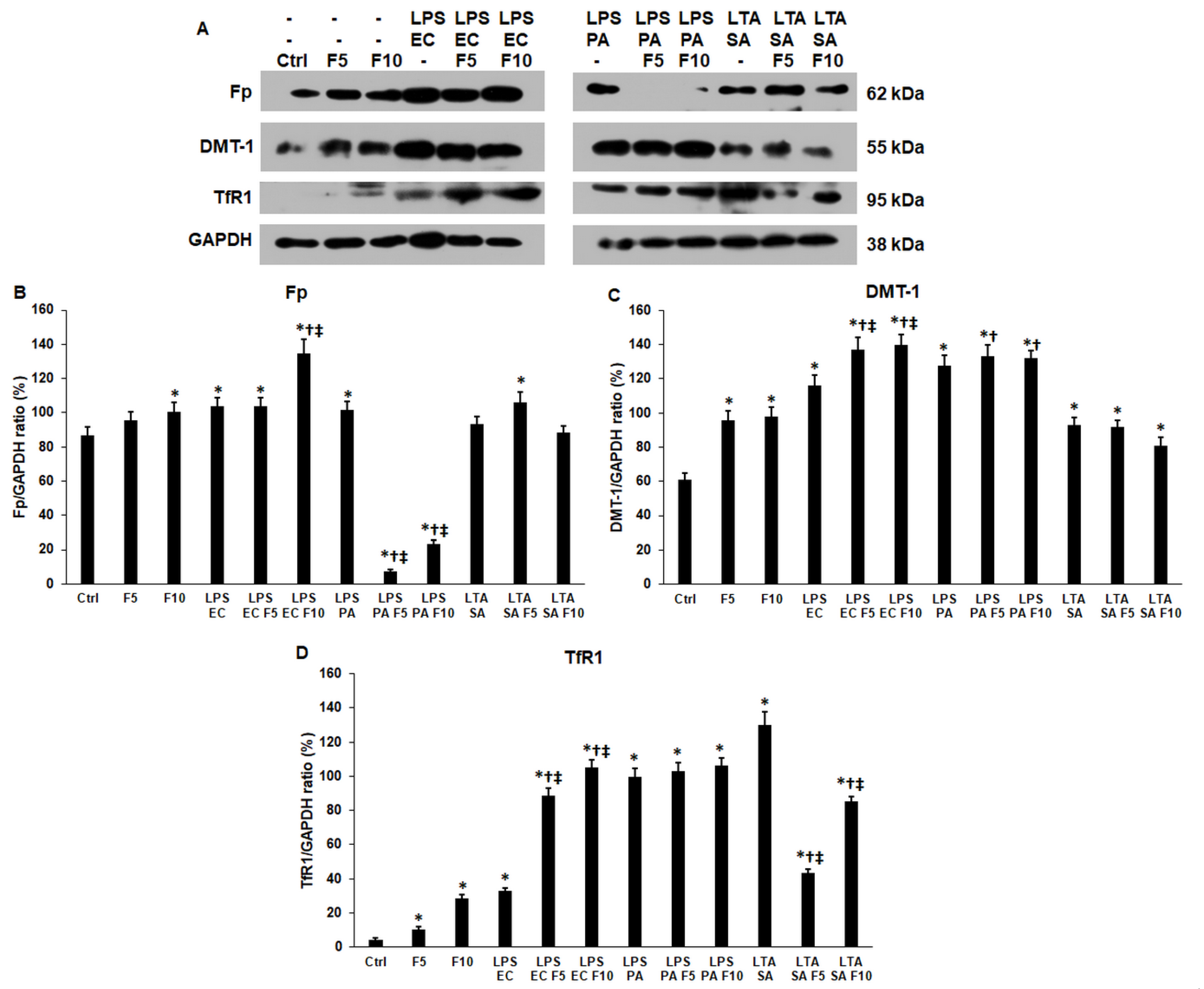 Ijms 23 02629 g005 Ijms 23 02629 g005
