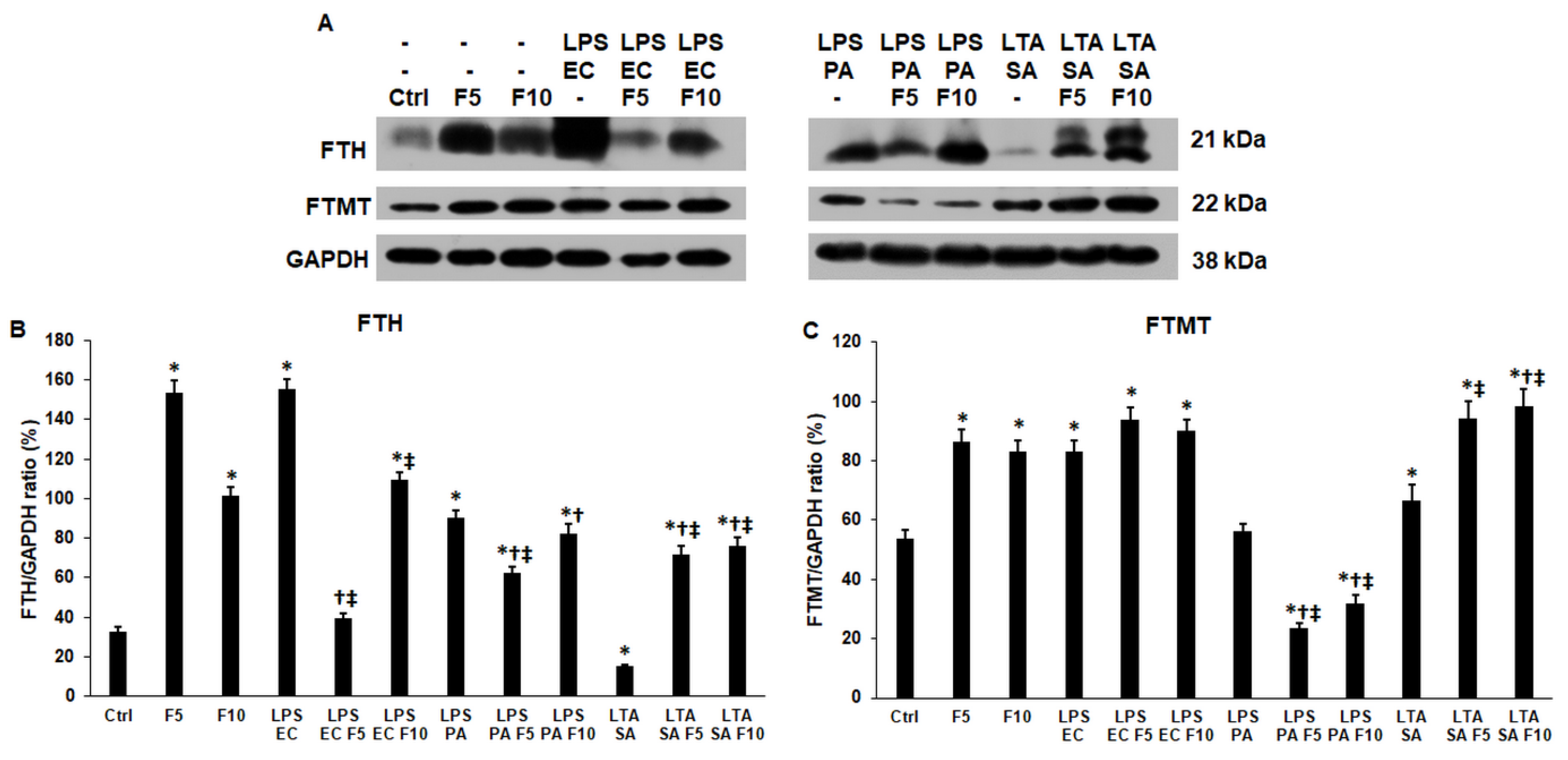 Ijms 23 02629 g006 Ijms 23 02629 g006