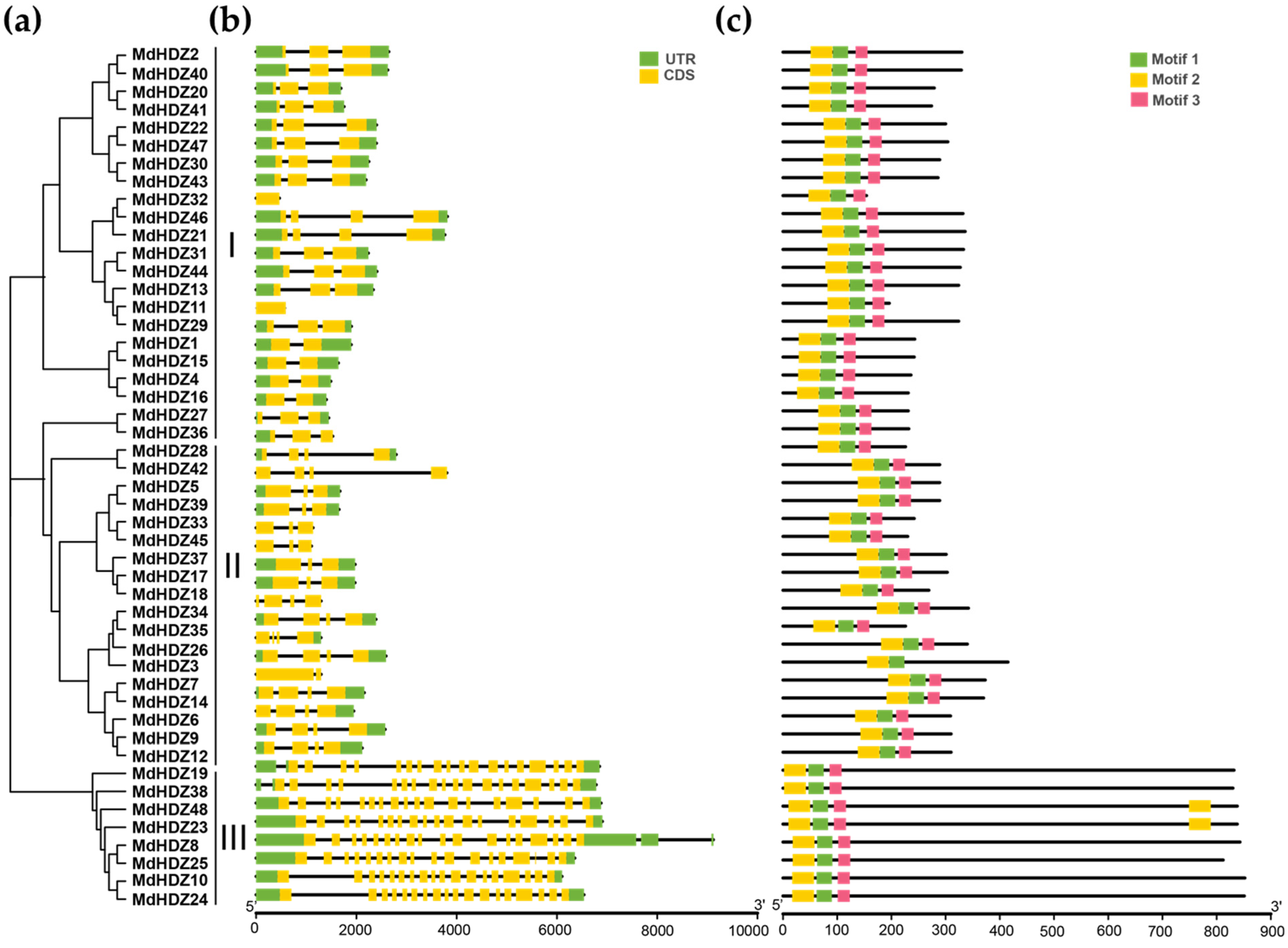 Ijms 23 02632 g001 550