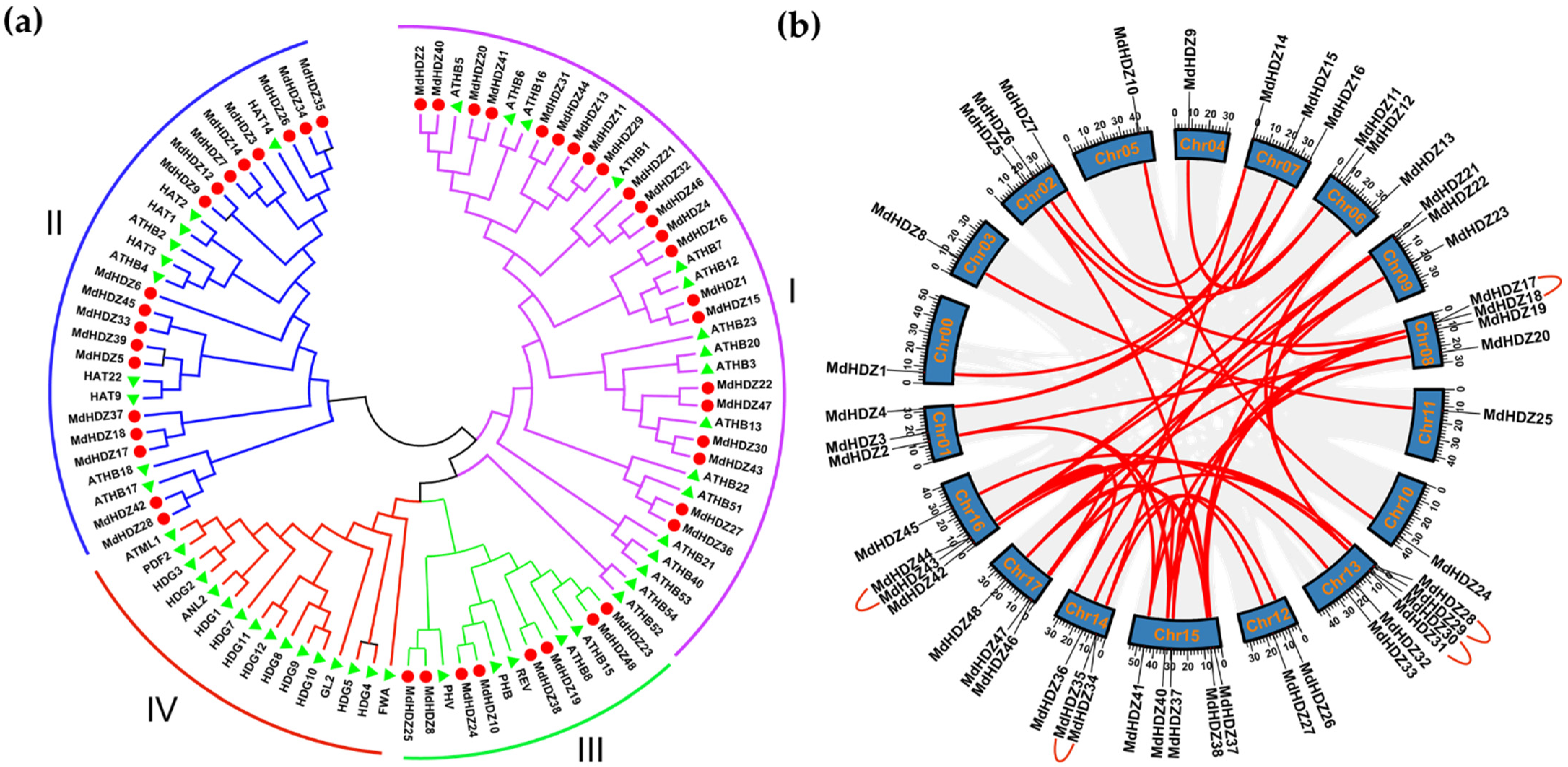 Ijms 23 02632 g002 550