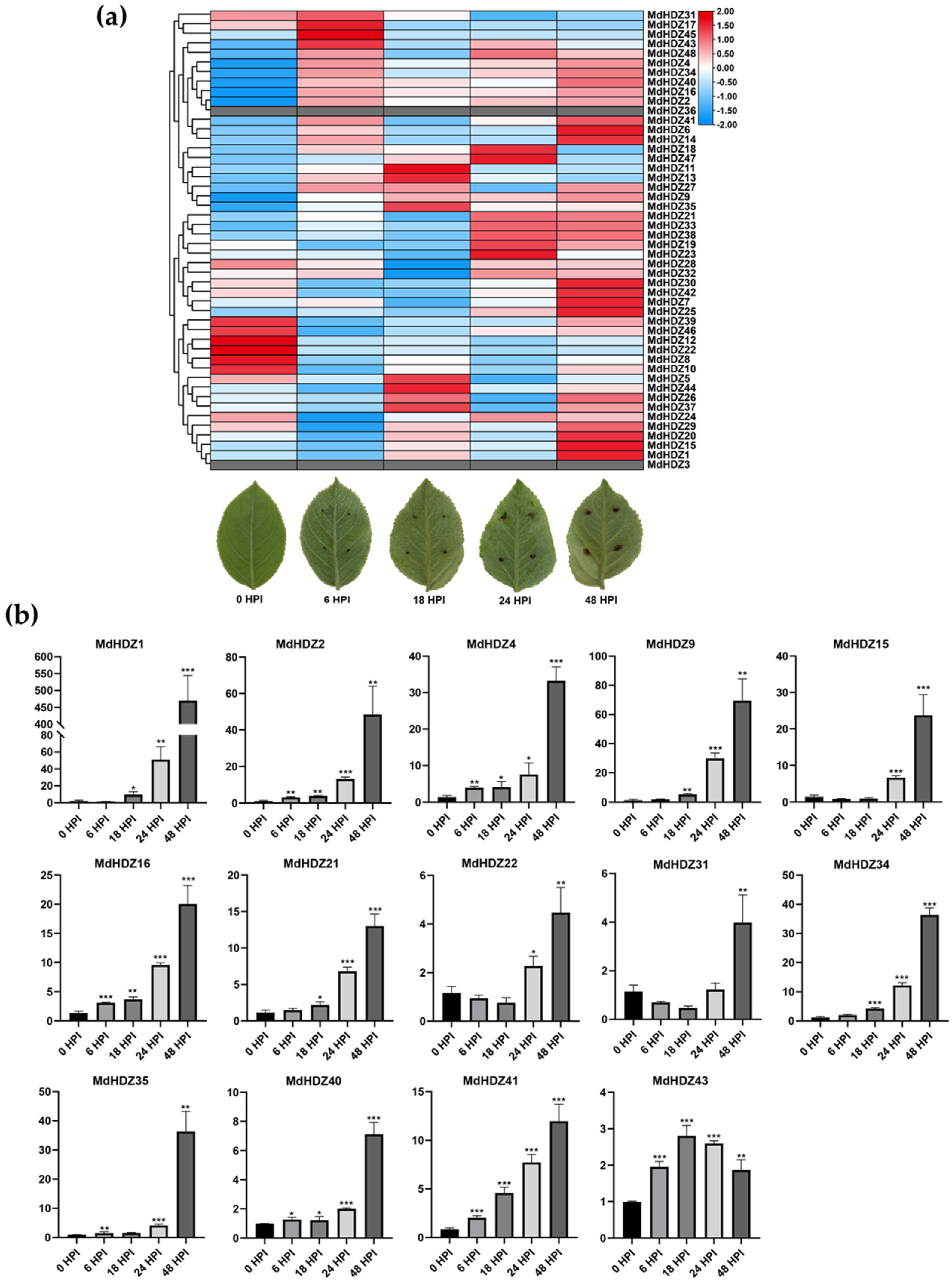 Ijms 23 02632 g005 550