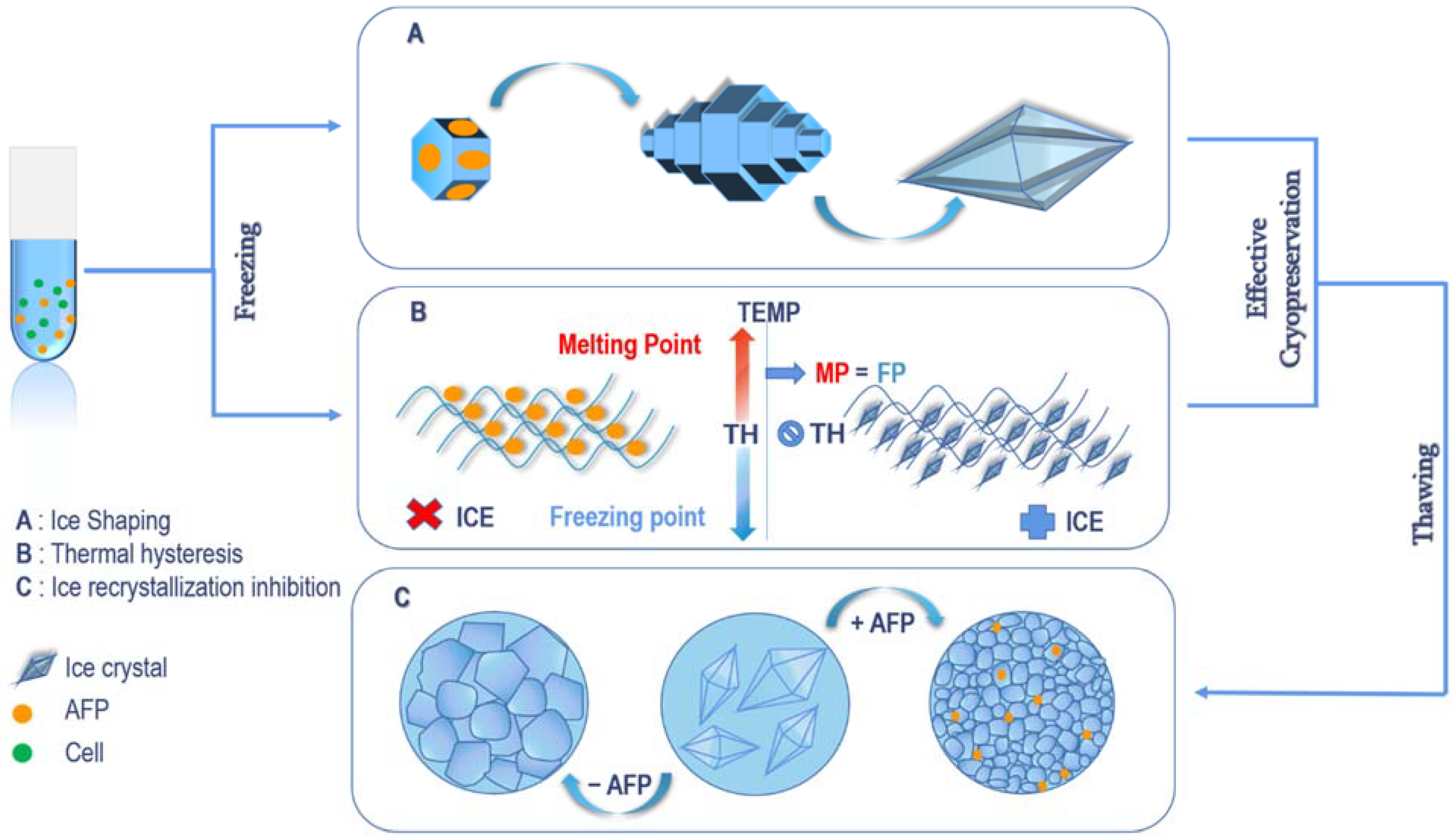 Ijms 23 02639 g002 Ijms 23 02639 g002