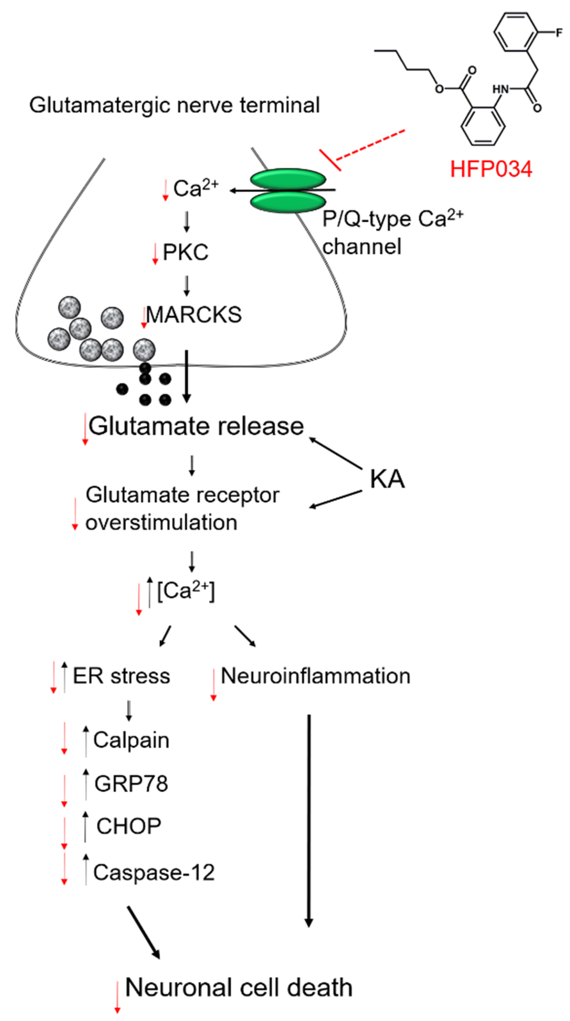 Ijms 23 02641 g008 550
