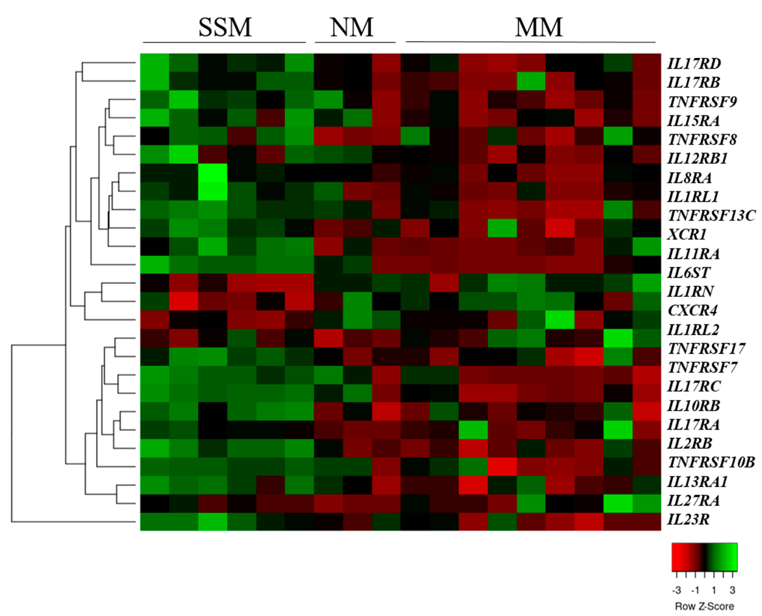 Ijms 23 02644 g002 Ijms 23 02644 g002