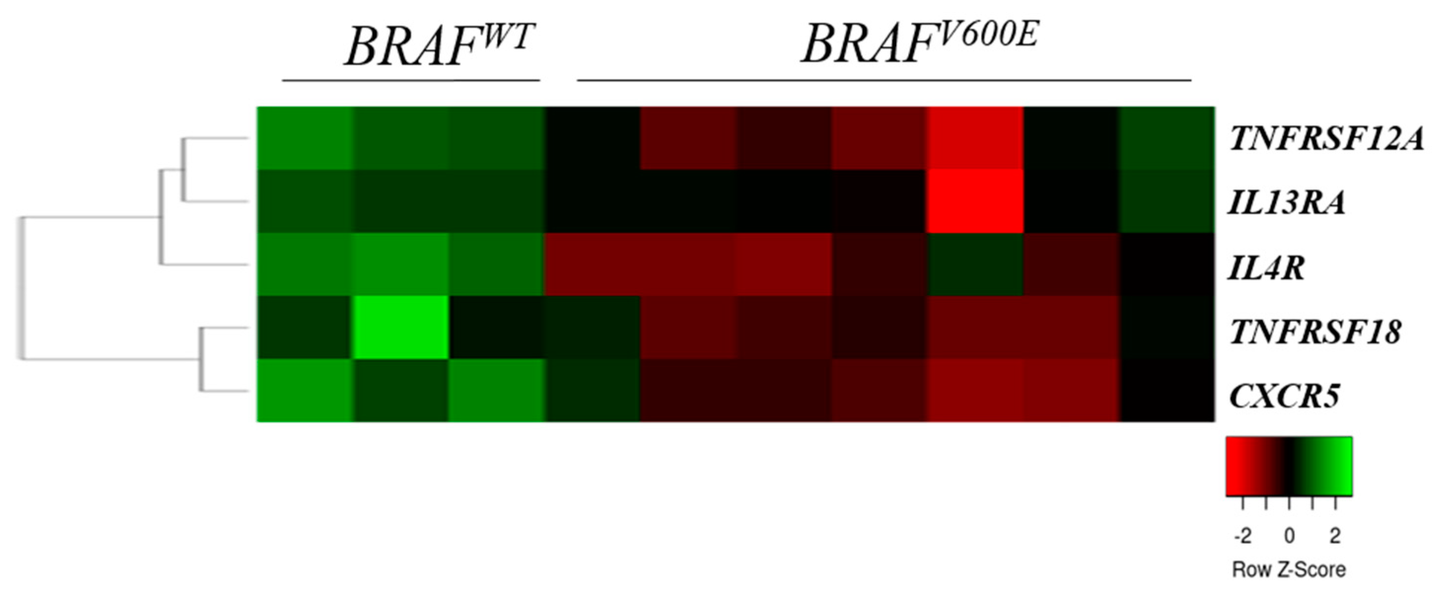 Ijms 23 02644 g003 Ijms 23 02644 g003