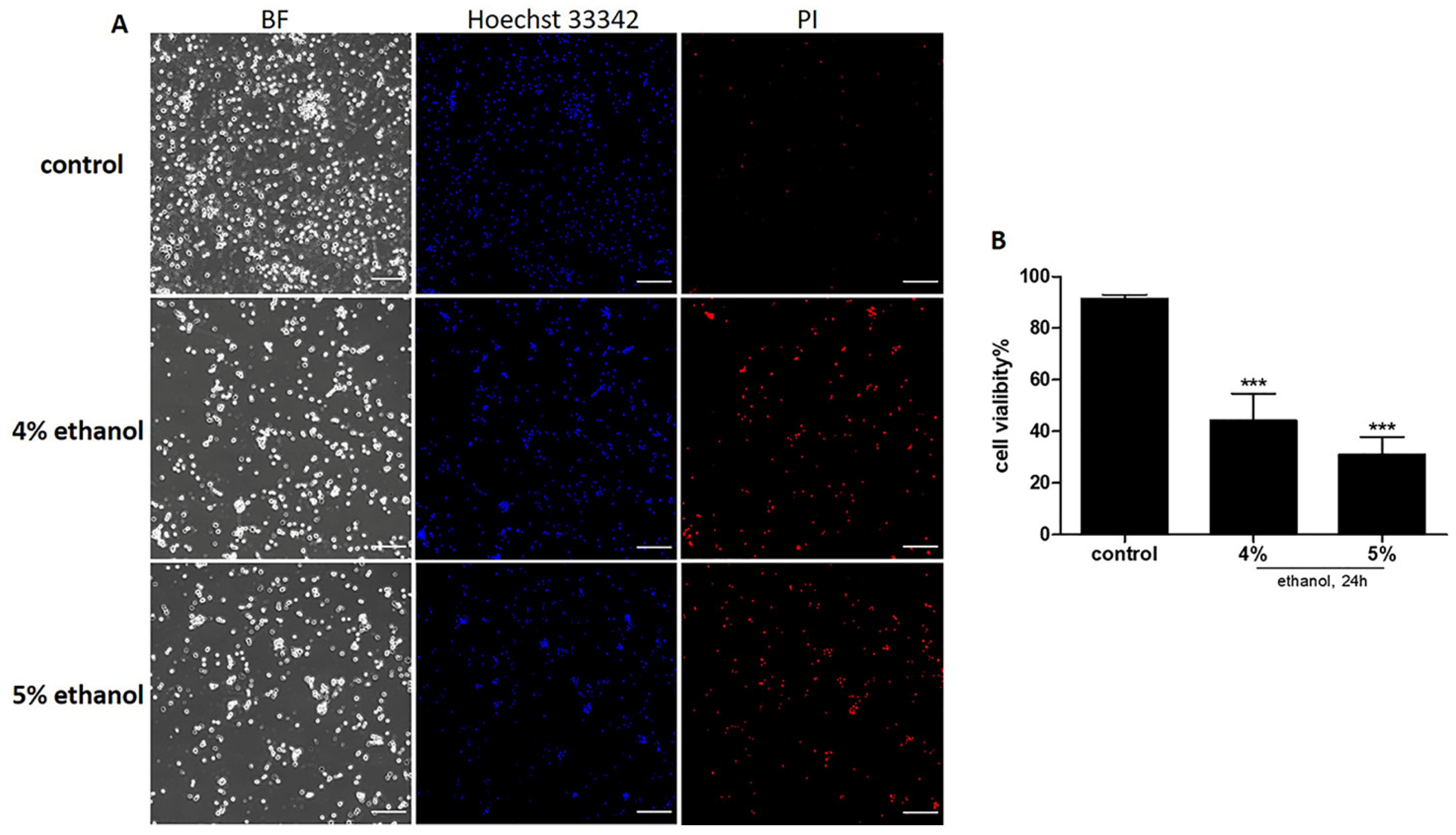 Ijms 23 02650 g001 Ijms 23 02650 g001