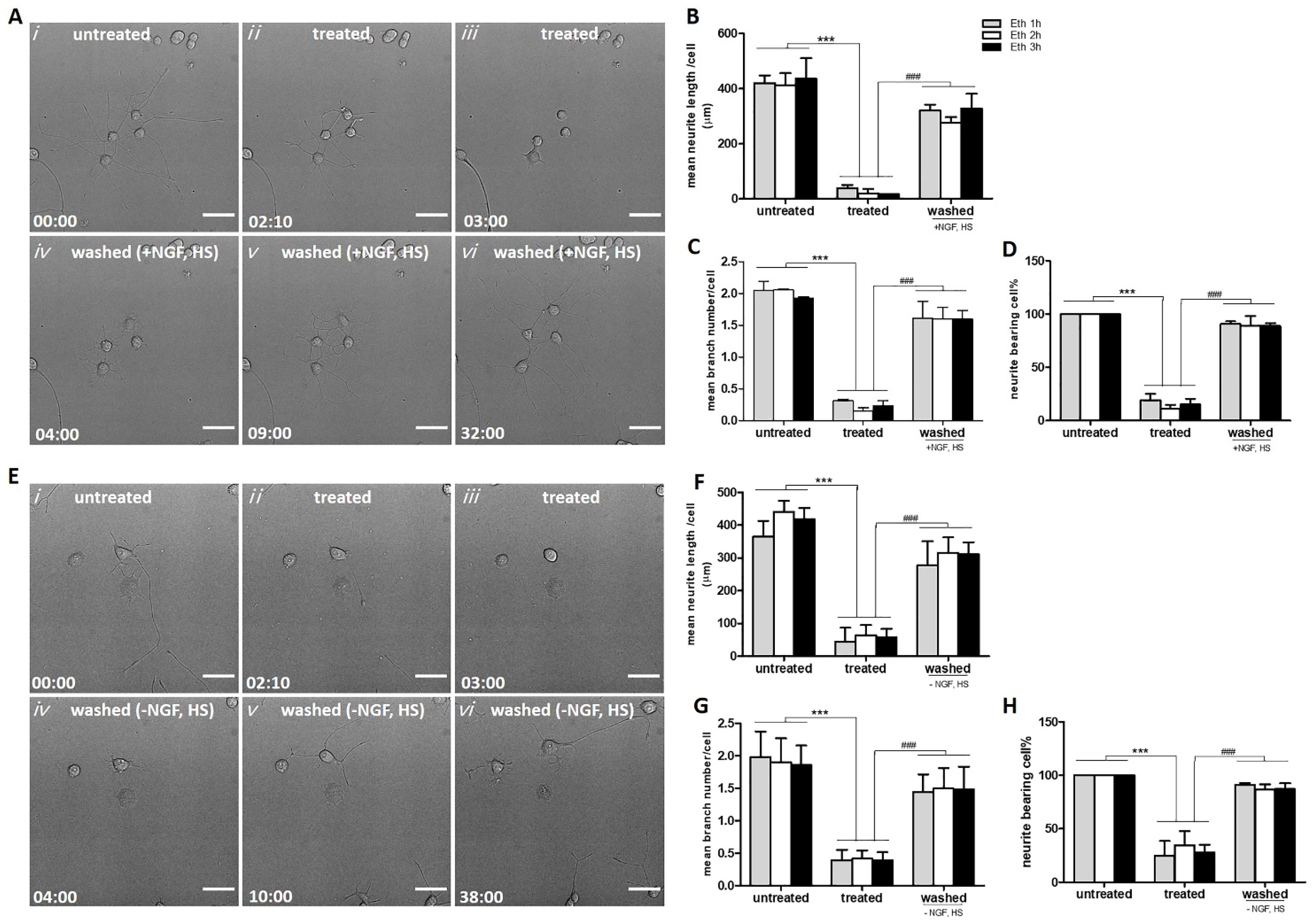 Ijms 23 02650 g002 Ijms 23 02650 g002