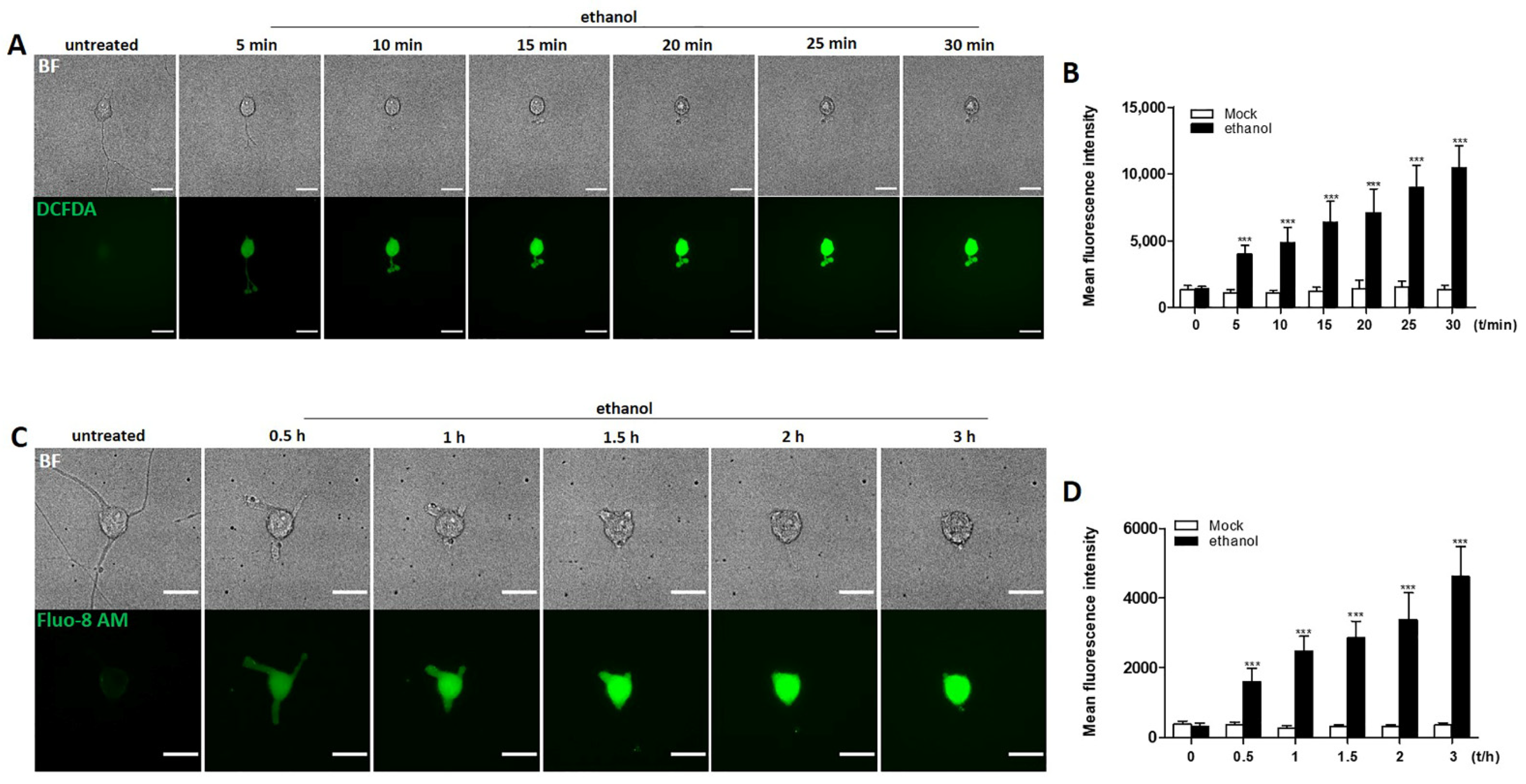 Ijms 23 02650 g003 Ijms 23 02650 g003