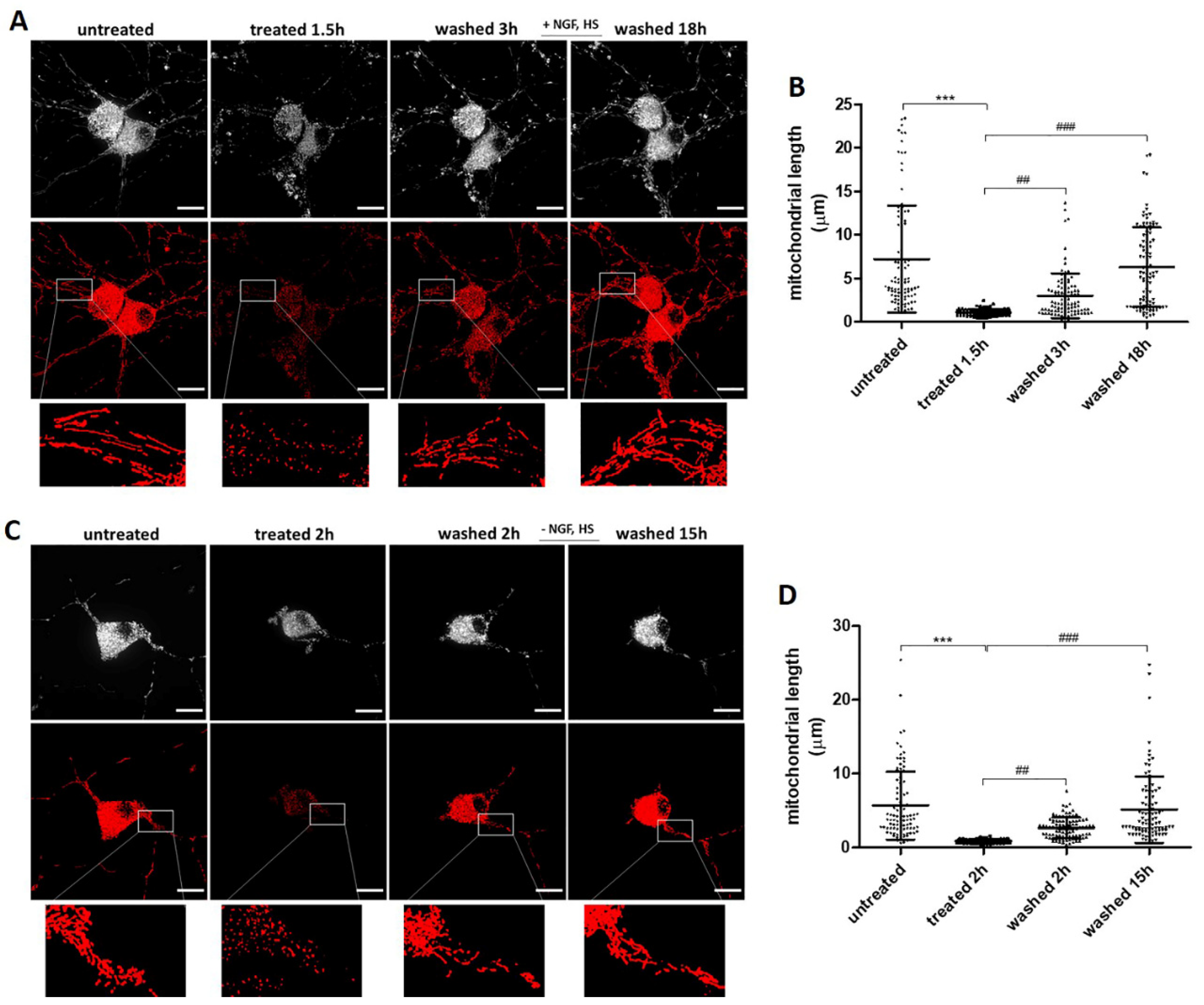 Ijms 23 02650 g005 Ijms 23 02650 g005