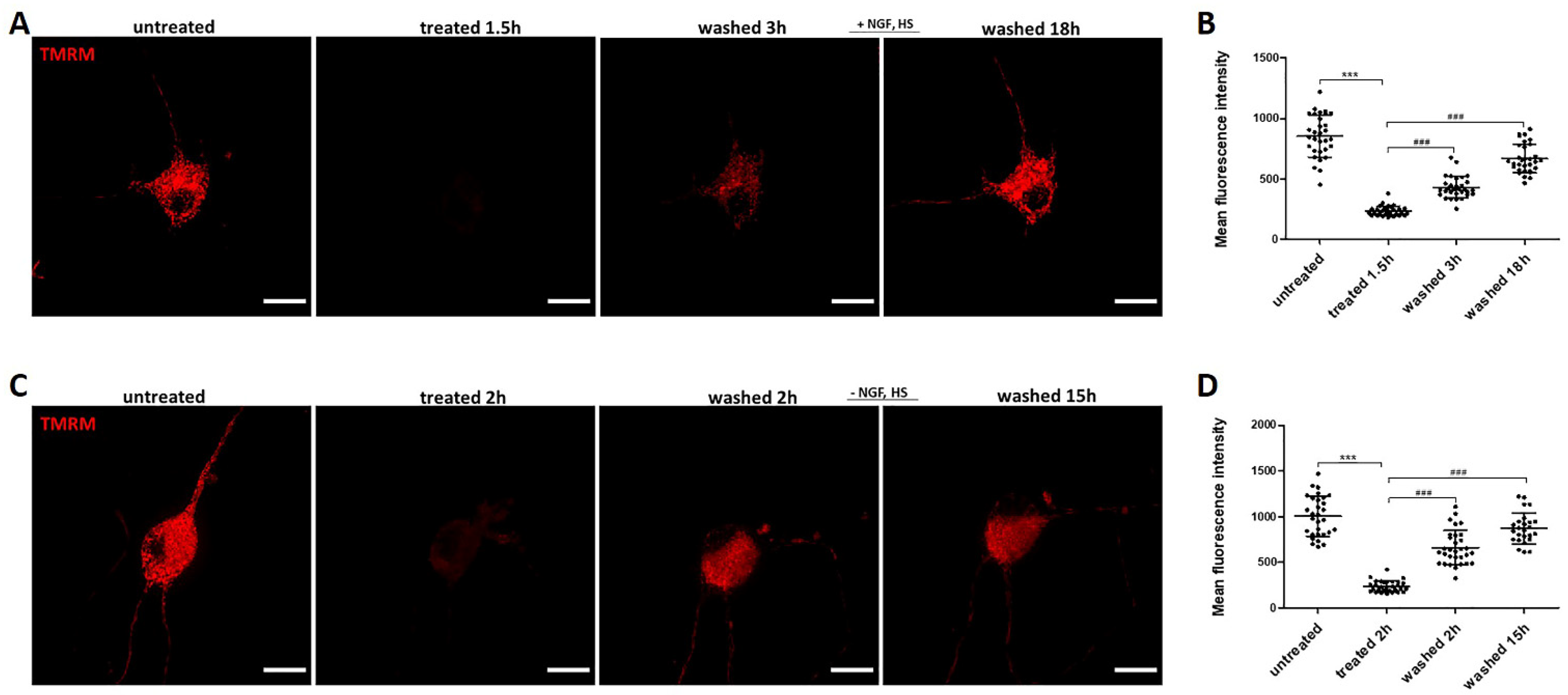 Ijms 23 02650 g006 Ijms 23 02650 g006