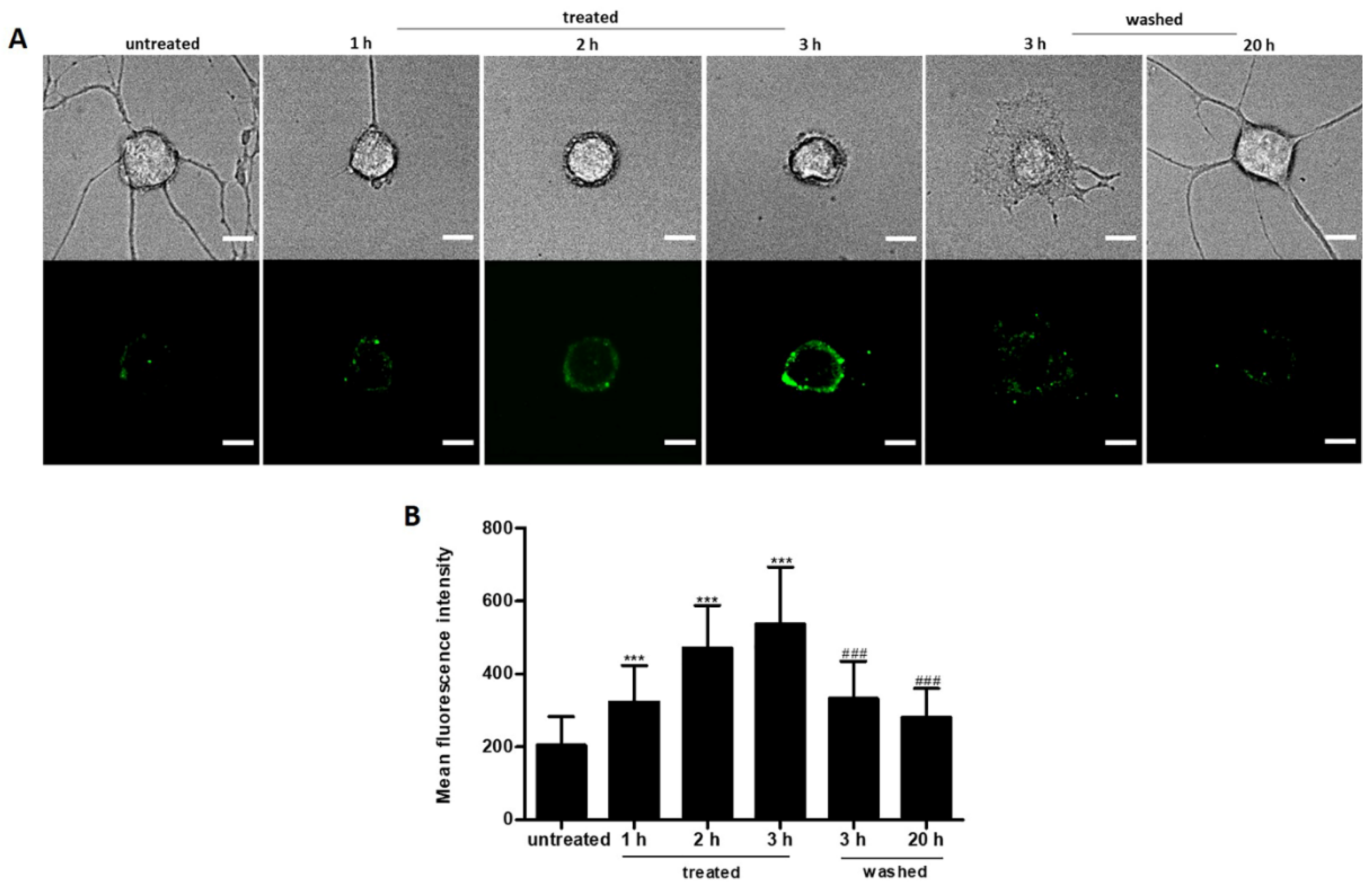 Ijms 23 02650 g007 Ijms 23 02650 g007