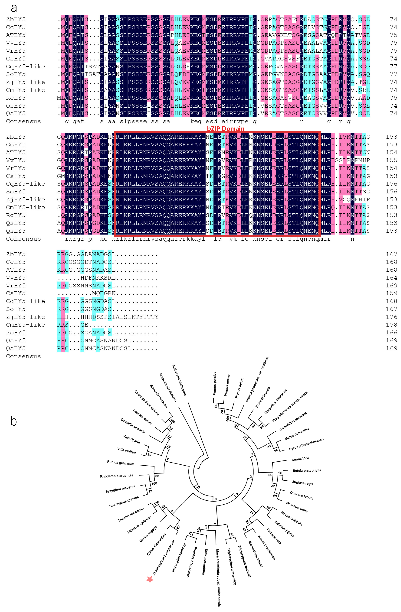 Ijms 23 02651 g002 550