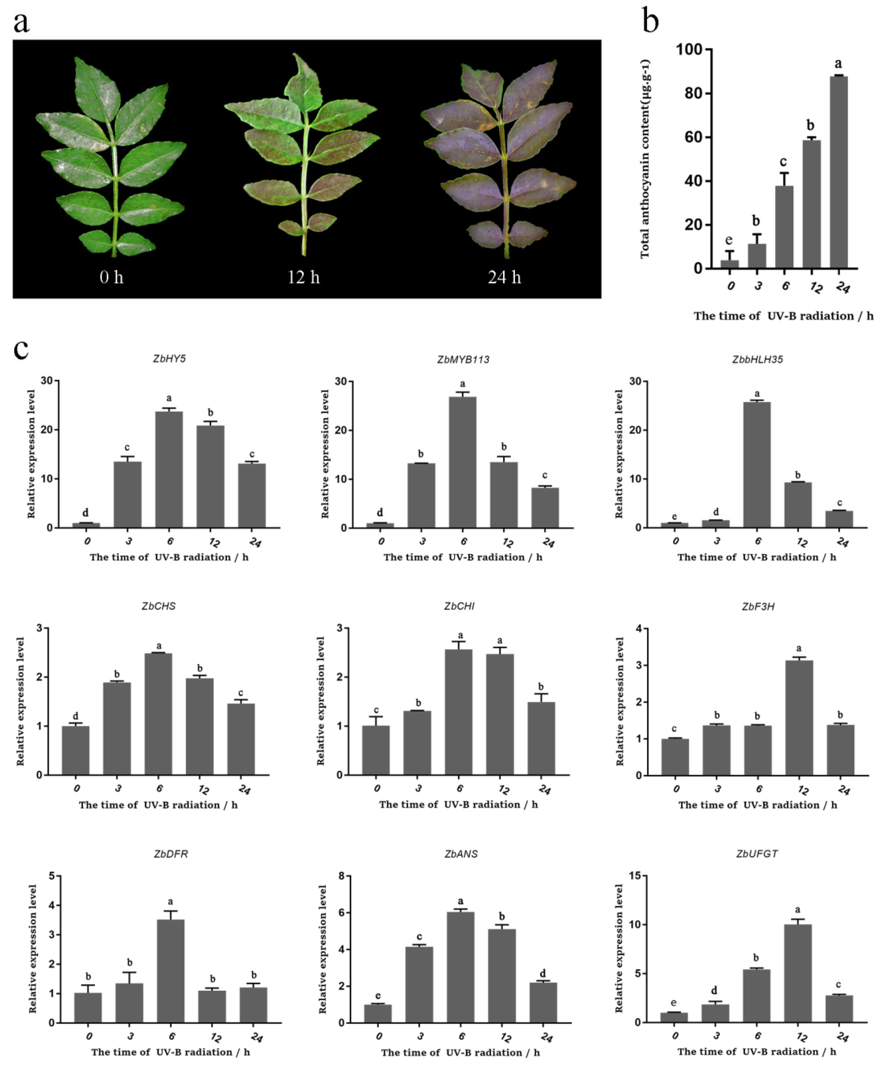Ijms 23 02651 g004 550