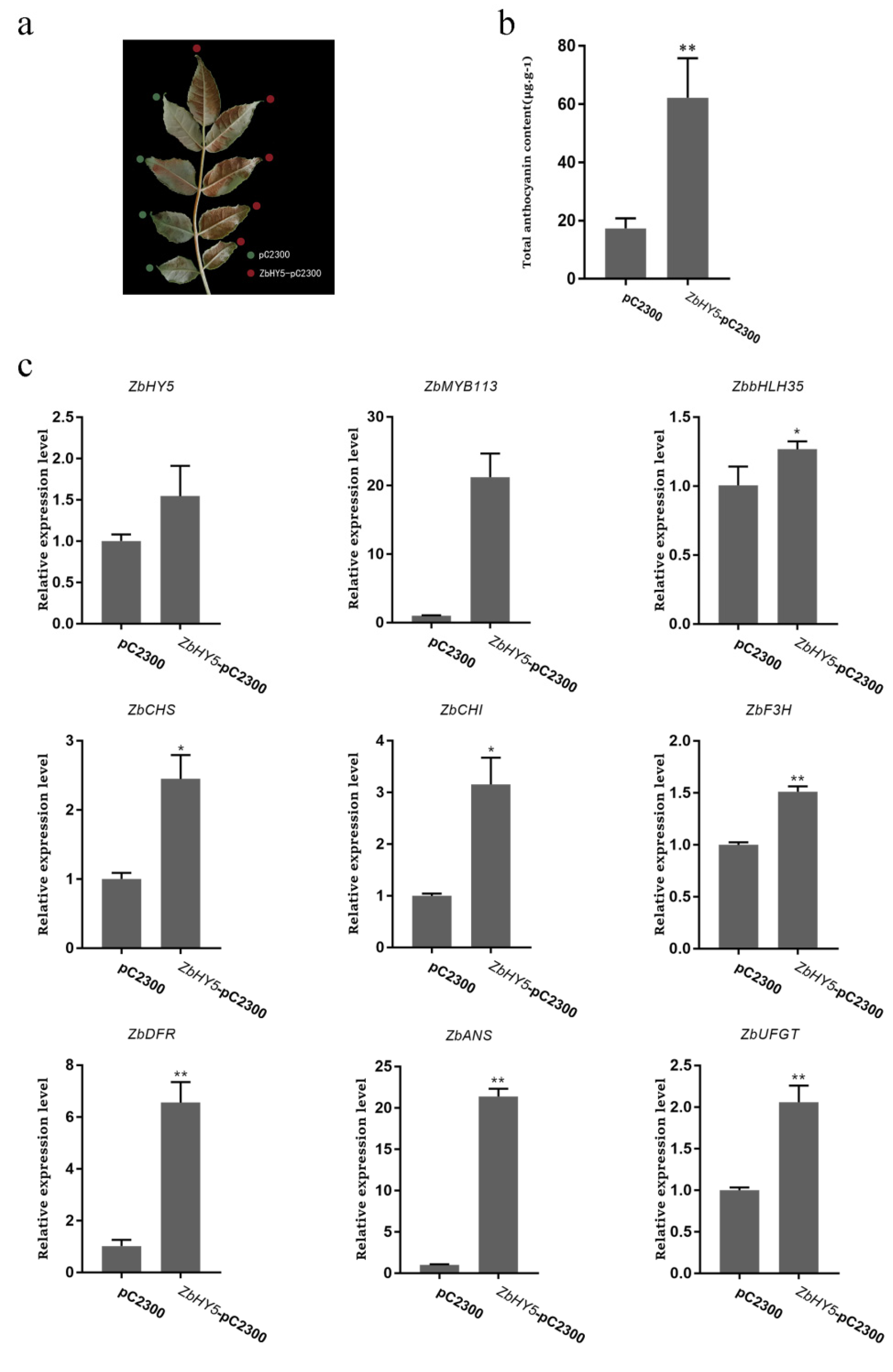 Ijms 23 02651 g005 550