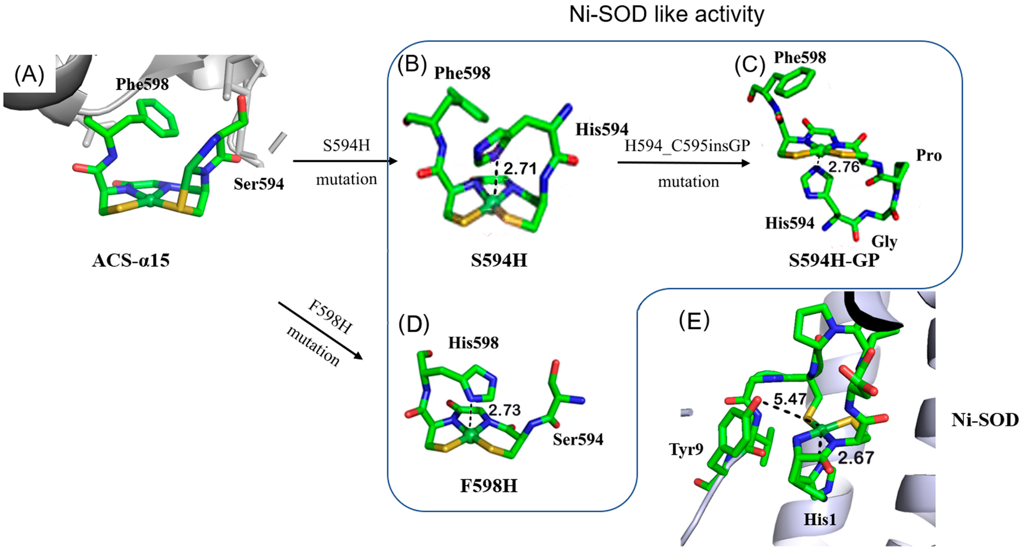 Ijms 23 02652 g001 550