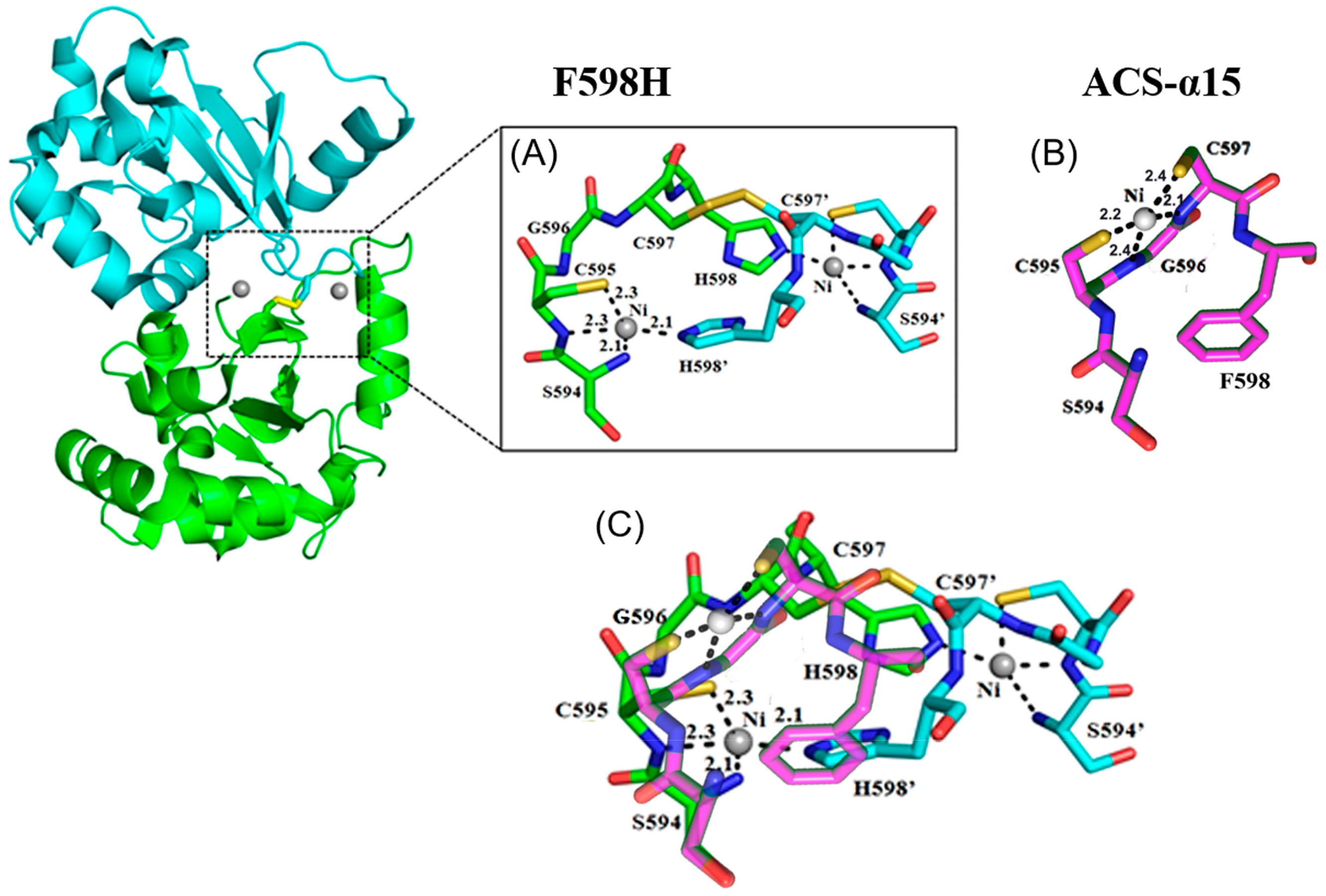 Ijms 23 02652 g008 550