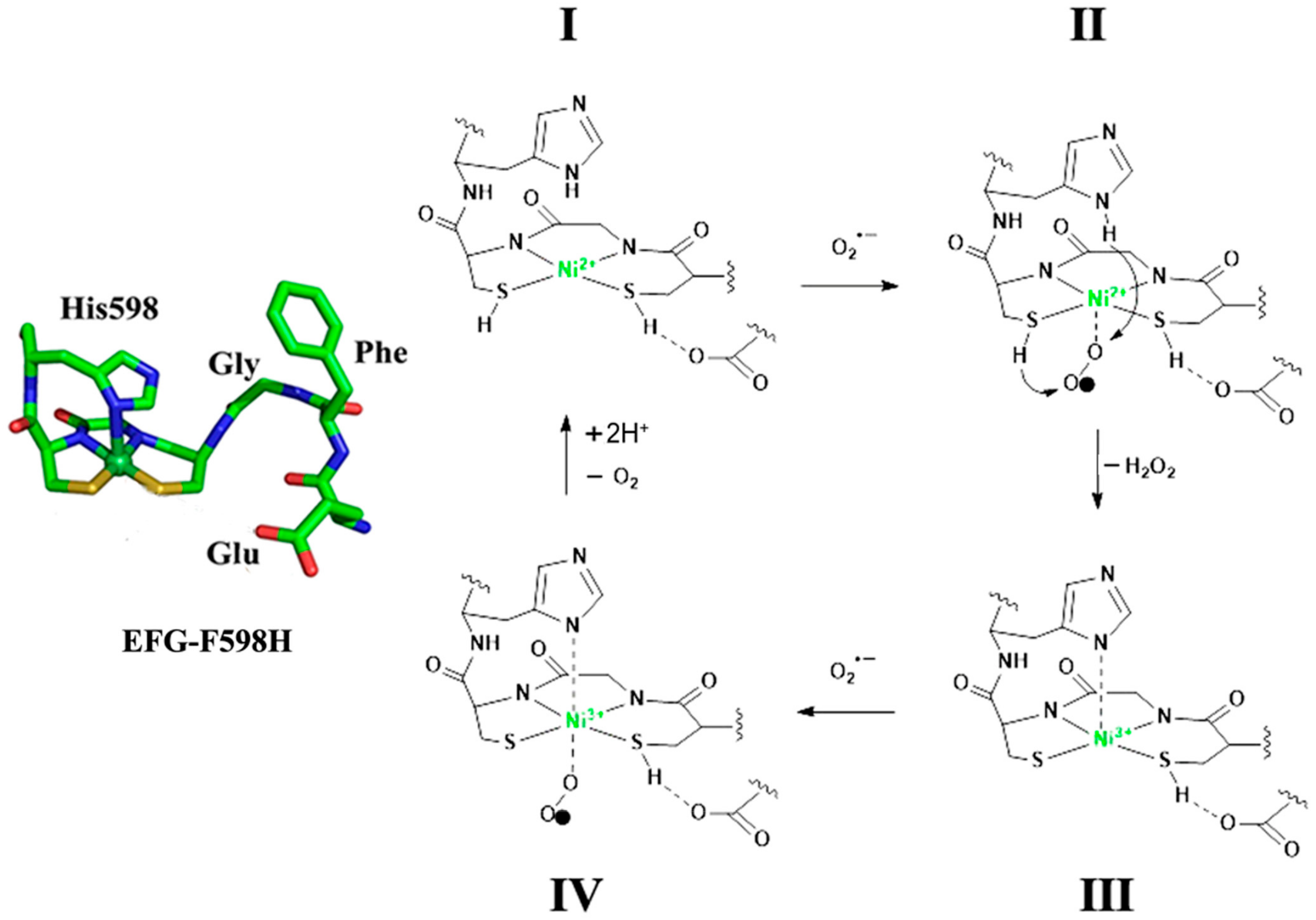 Ijms 23 02652 g009 550