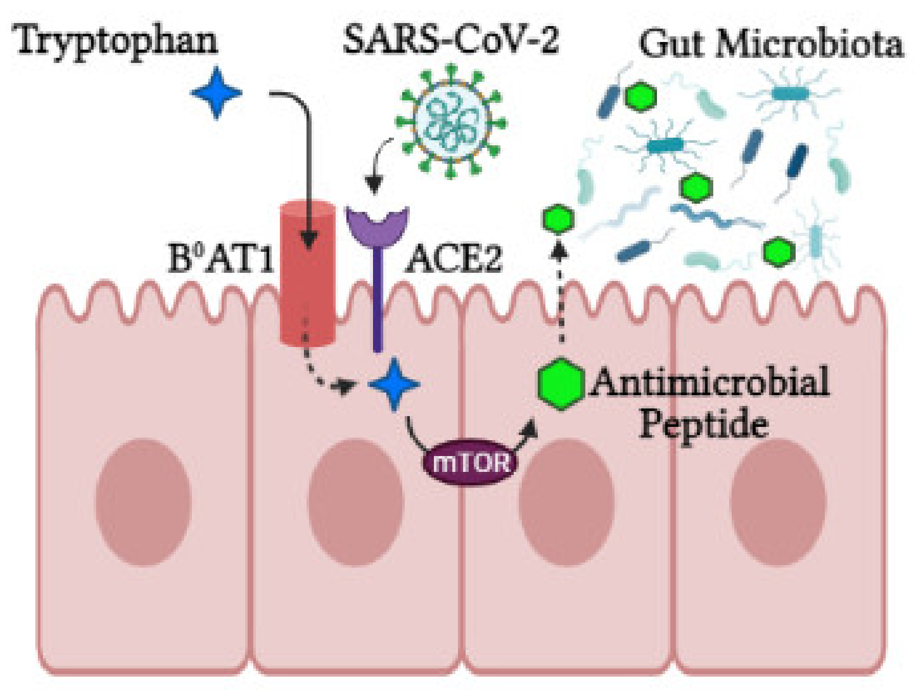 Ijms 23 02654 g002 Ijms 23 02654 g002