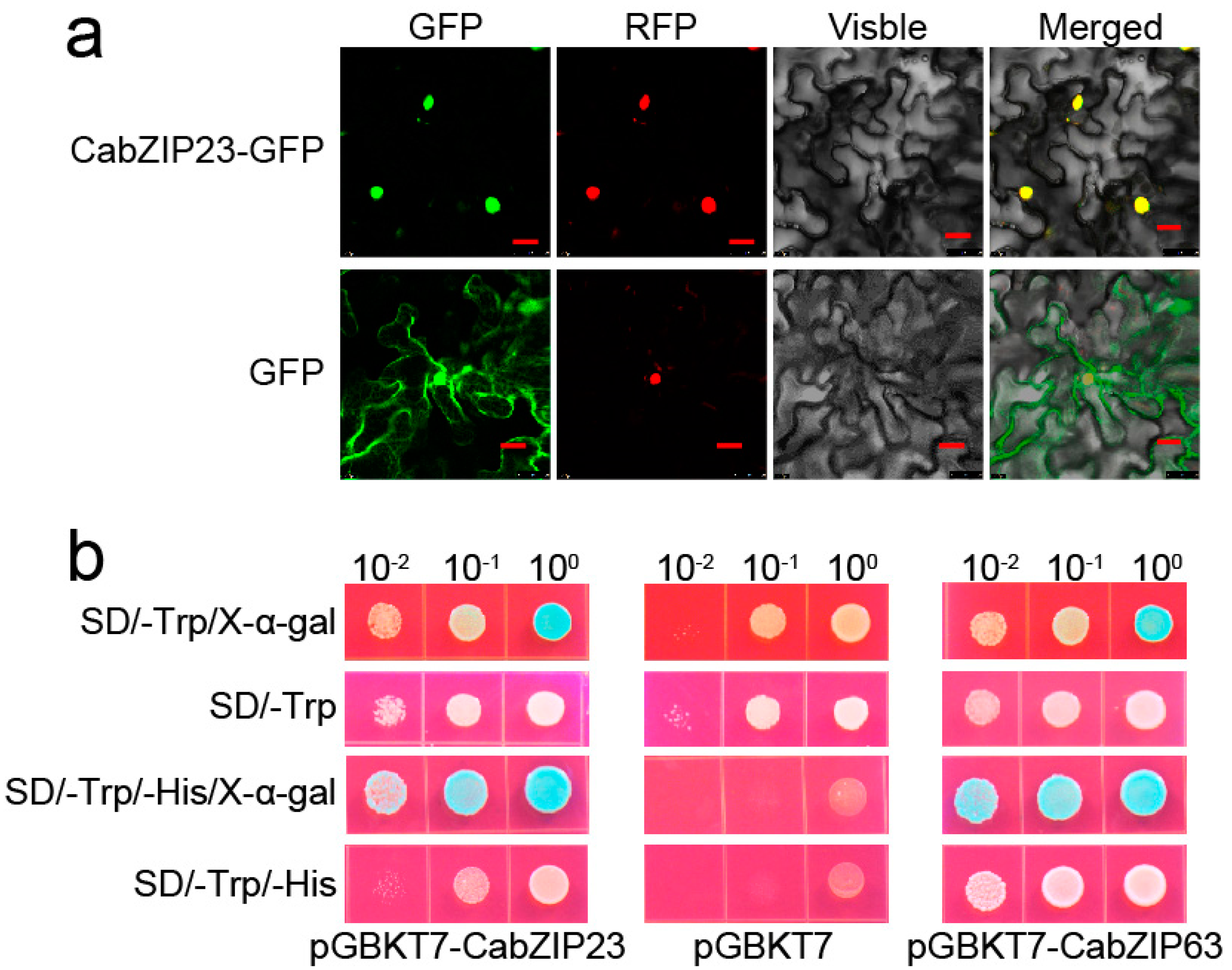 Ijms 23 02656 g002 550