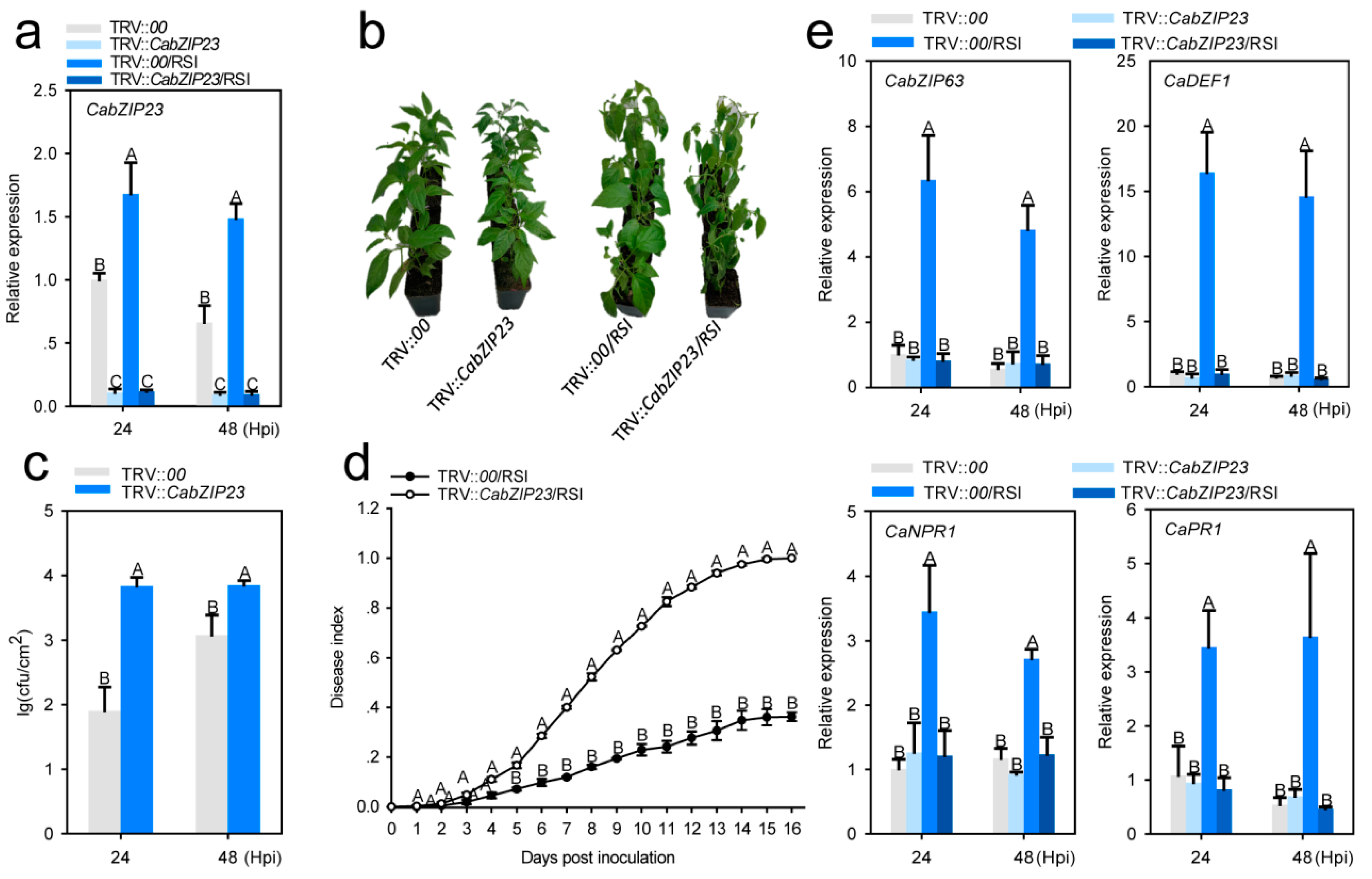 Ijms 23 02656 g003 550