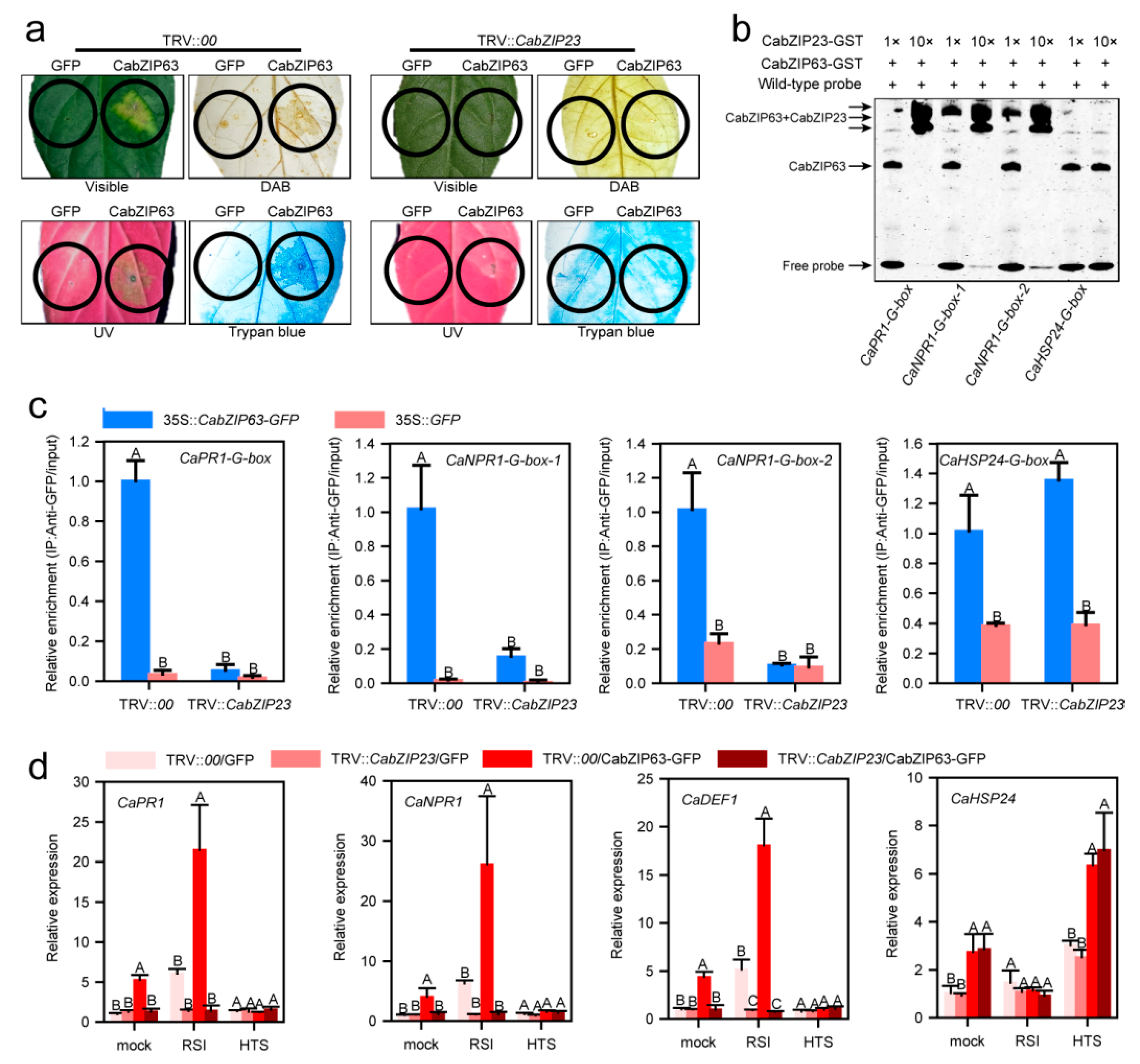 Ijms 23 02656 g008 550