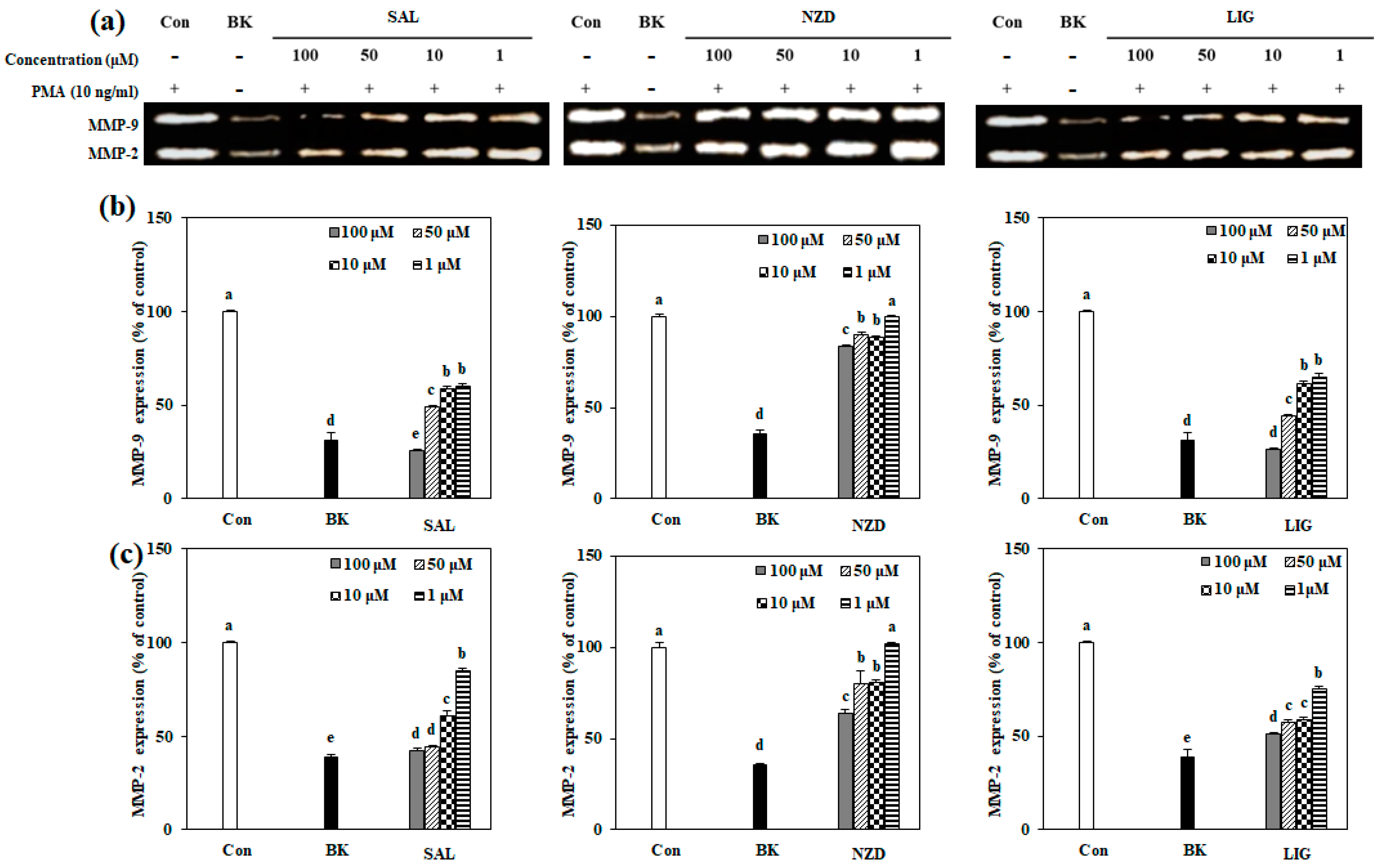Ijms 23 02660 g003 Ijms 23 02660 g003