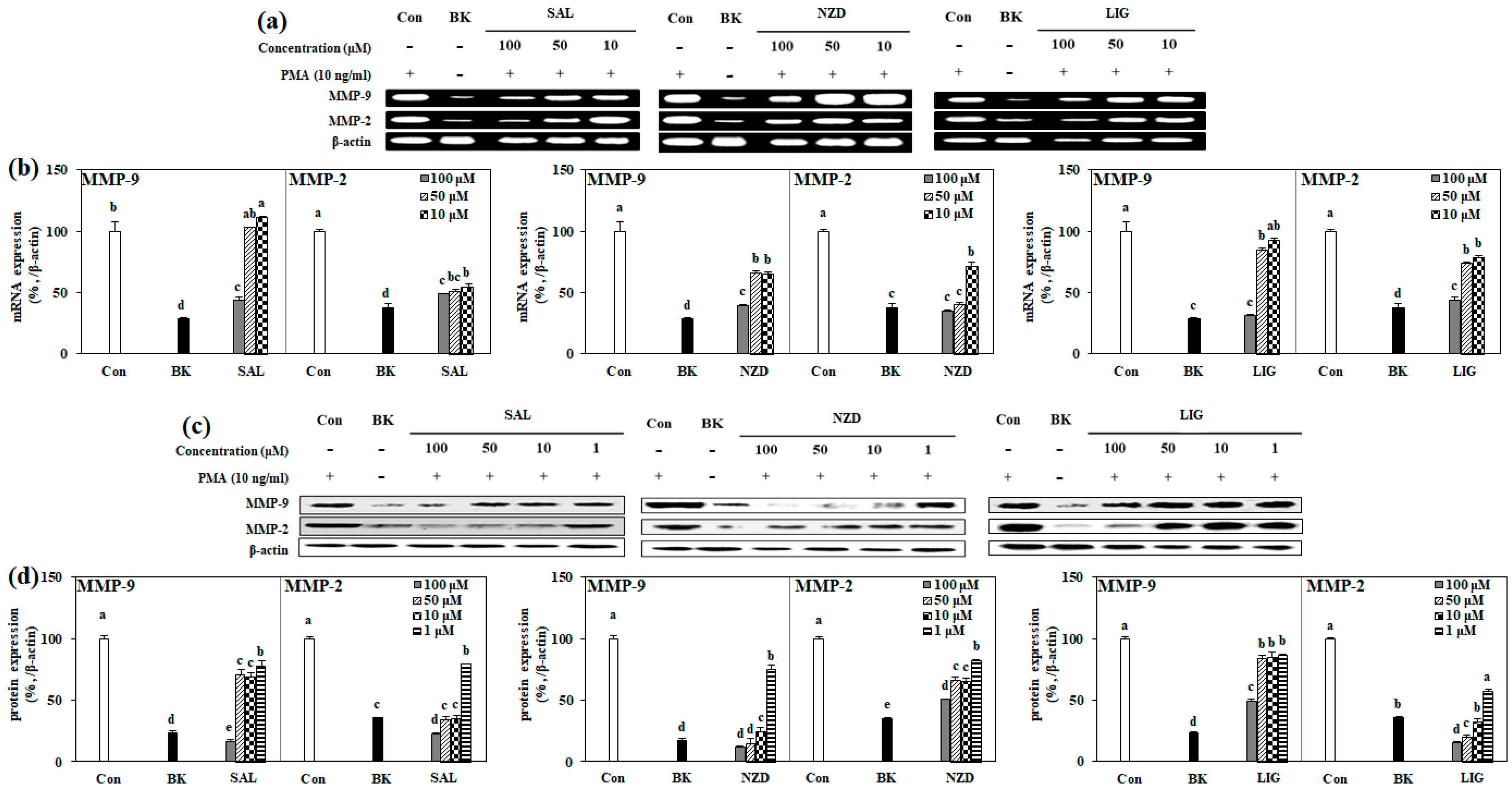 Ijms 23 02660 g005 Ijms 23 02660 g005