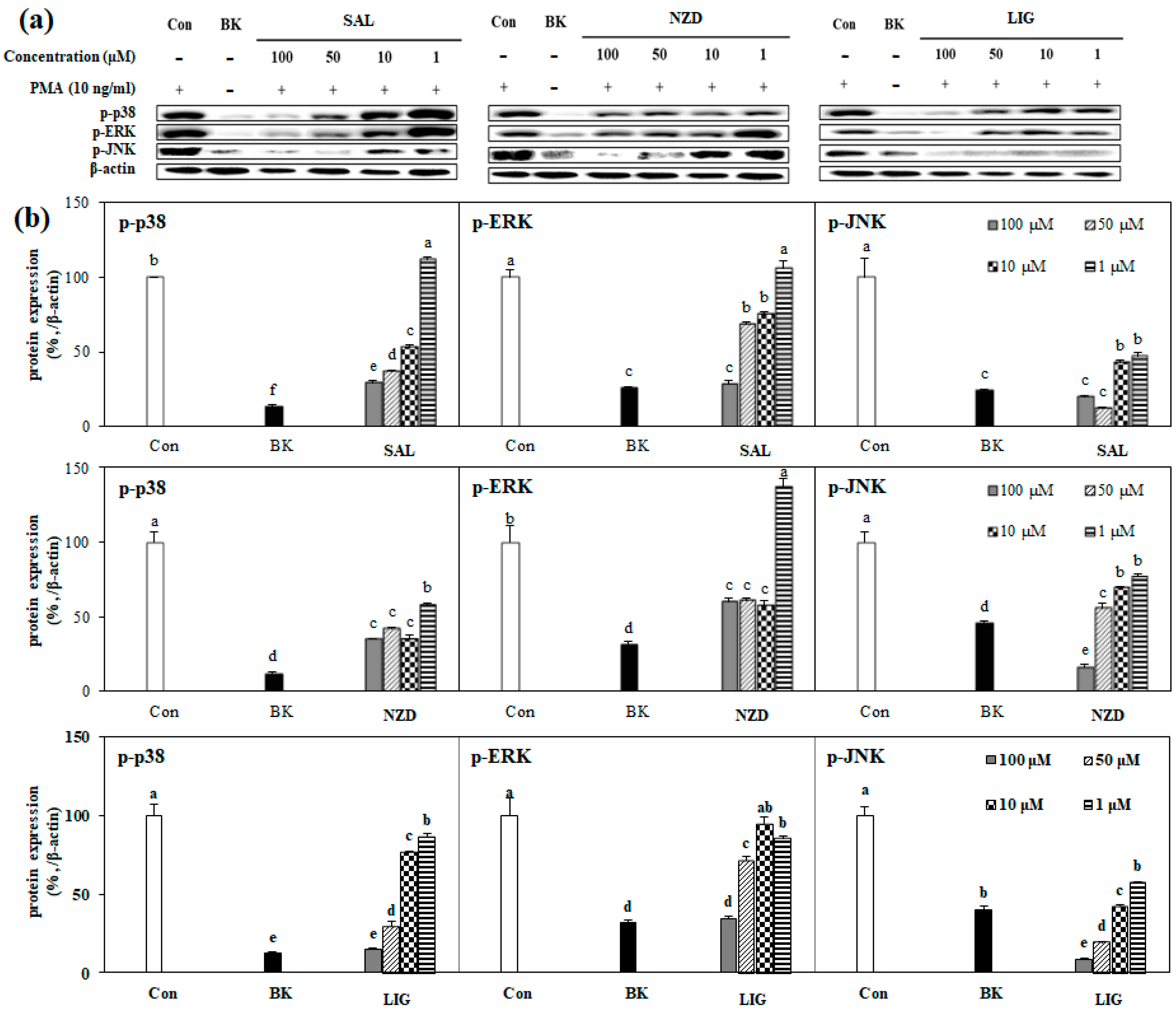 Ijms 23 02660 g006 Ijms 23 02660 g006