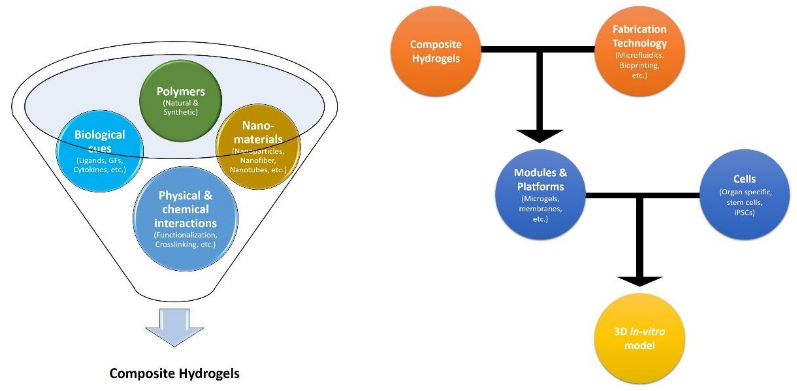 Ijms 23 02662 g002 Ijms 23 02662 g002