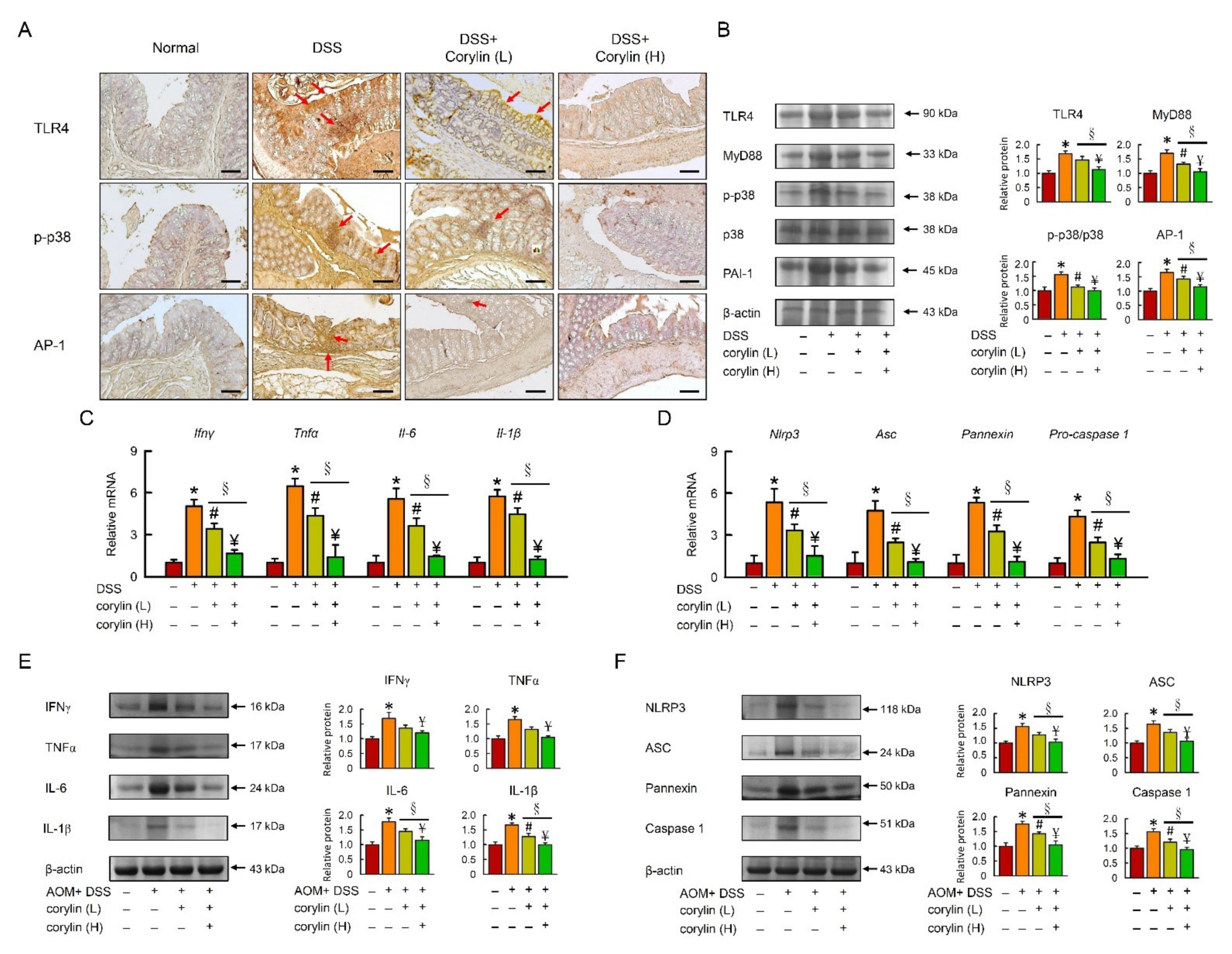 Ijms 23 02667 g002 550