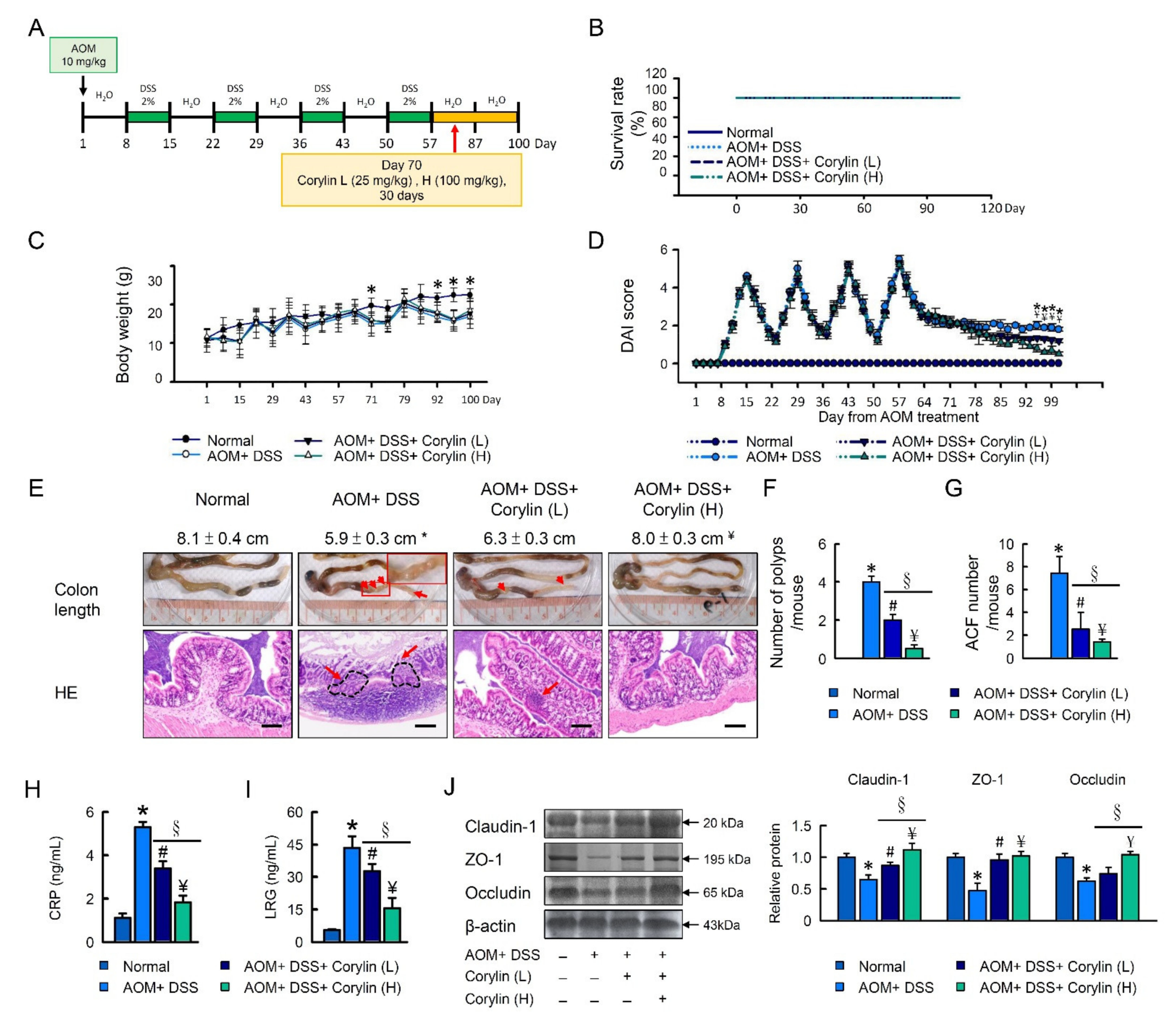Ijms 23 02667 g005a 550