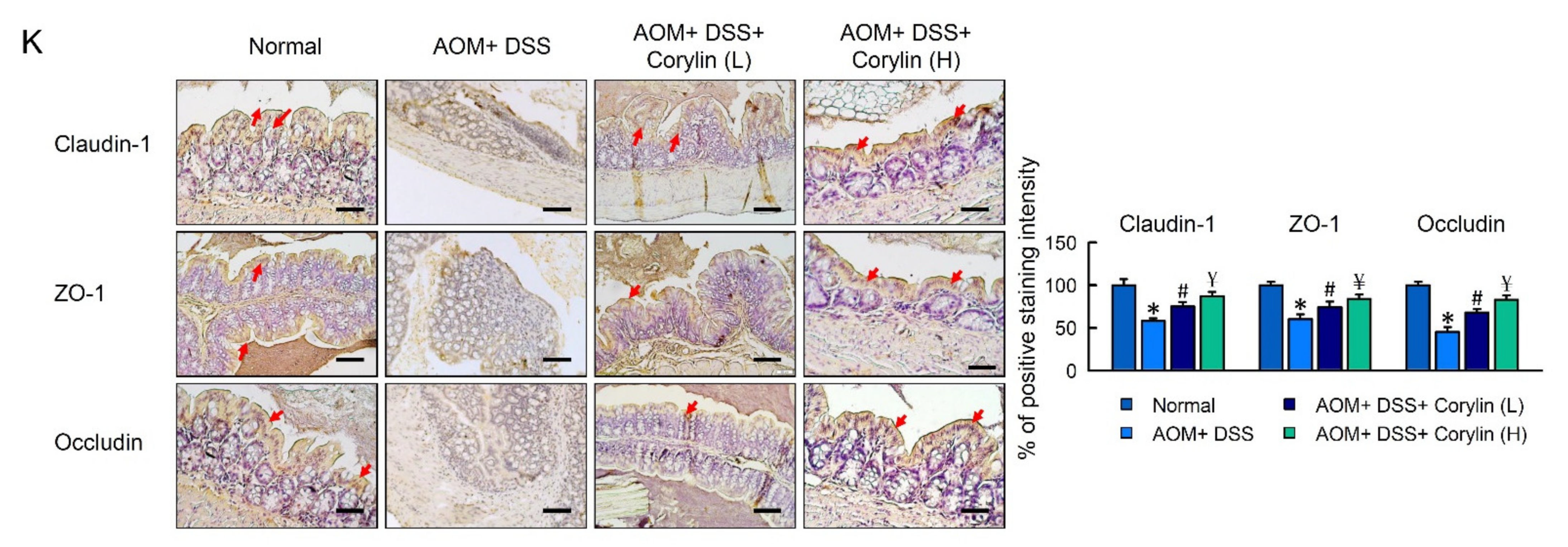 Ijms 23 02667 g005b 550