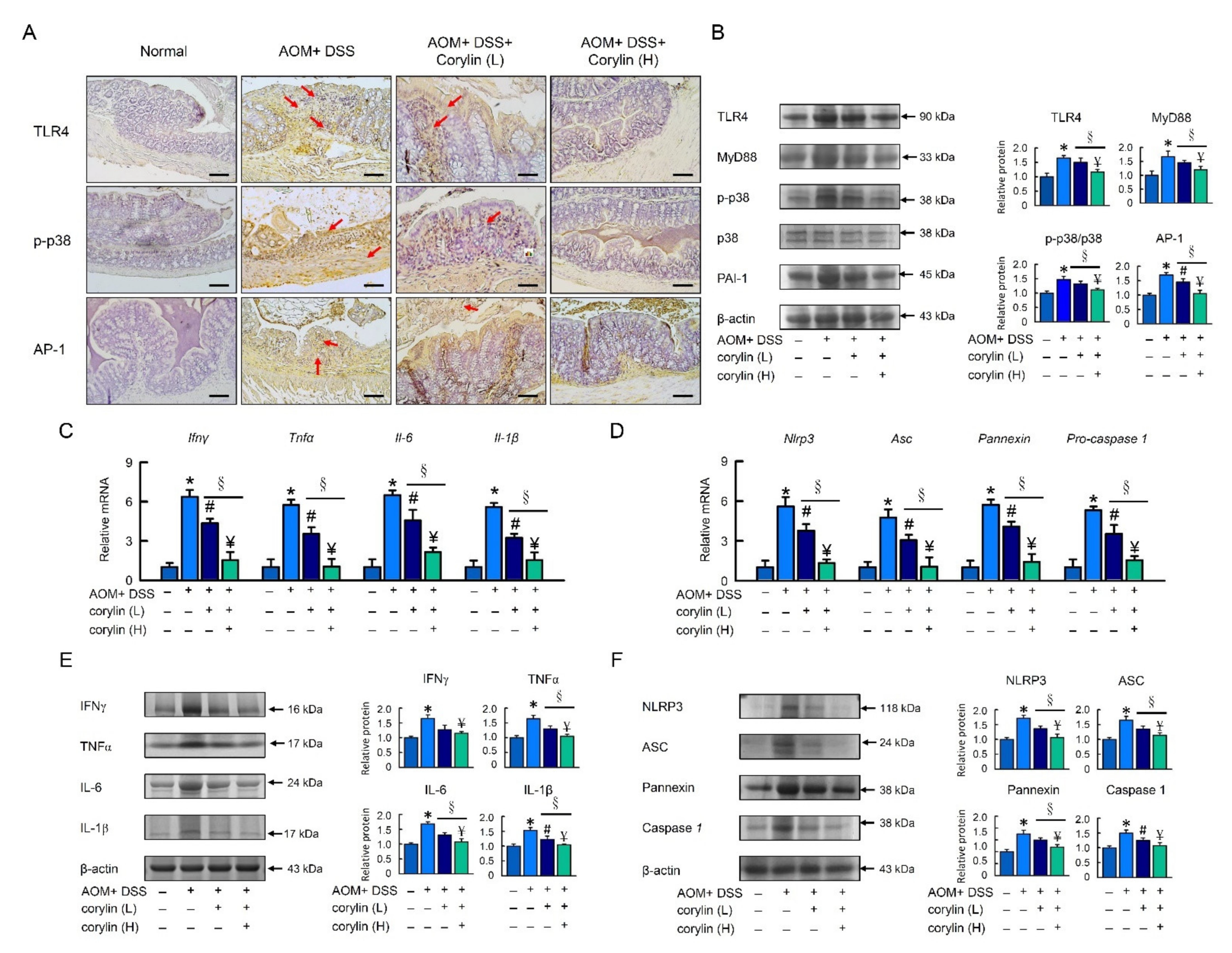 Ijms 23 02667 g006 550