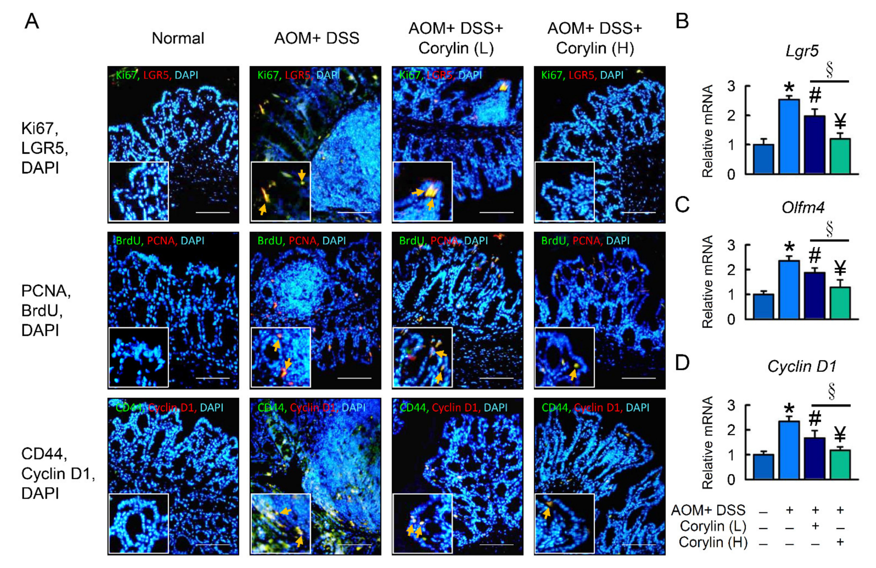 Ijms 23 02667 g008 550