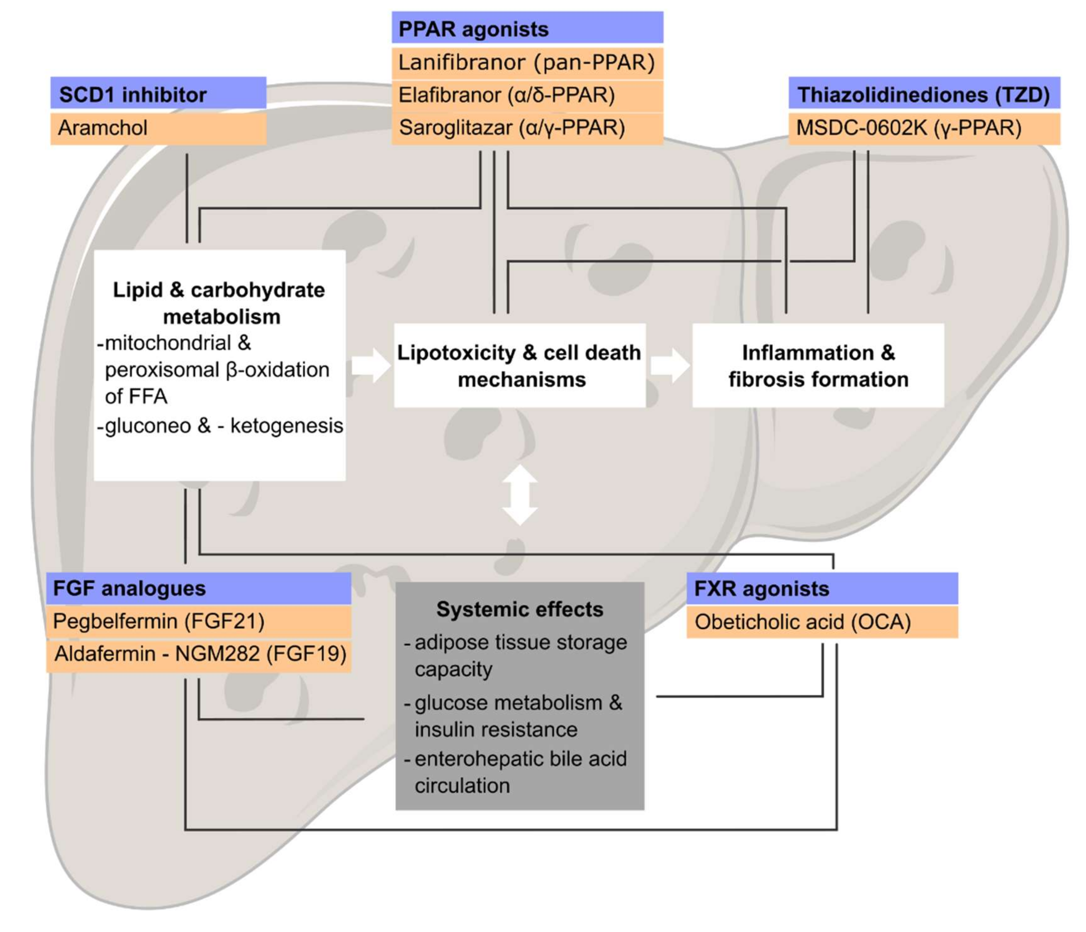 Ijms 23 02668 g003 550